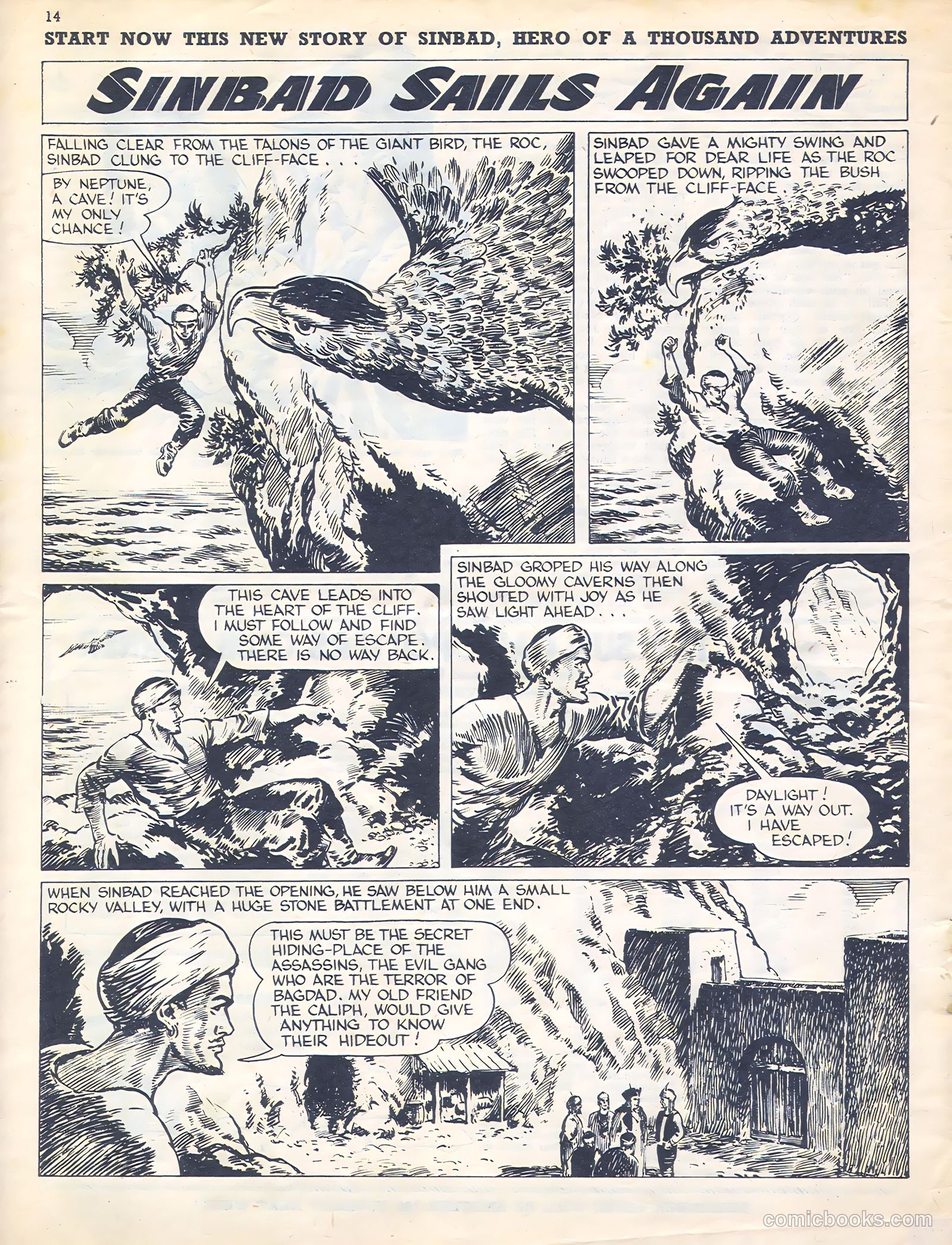 Sun #165 — page 14 of 20