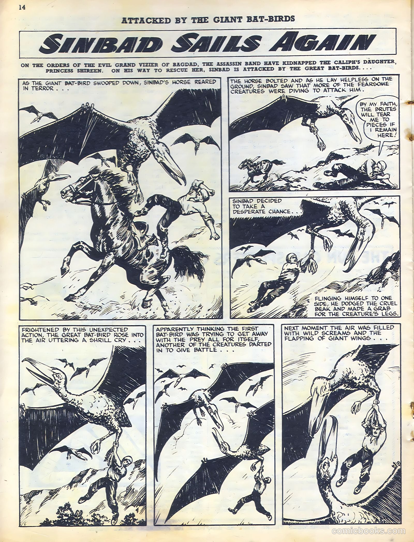 Sun #169 — page 14 of 20