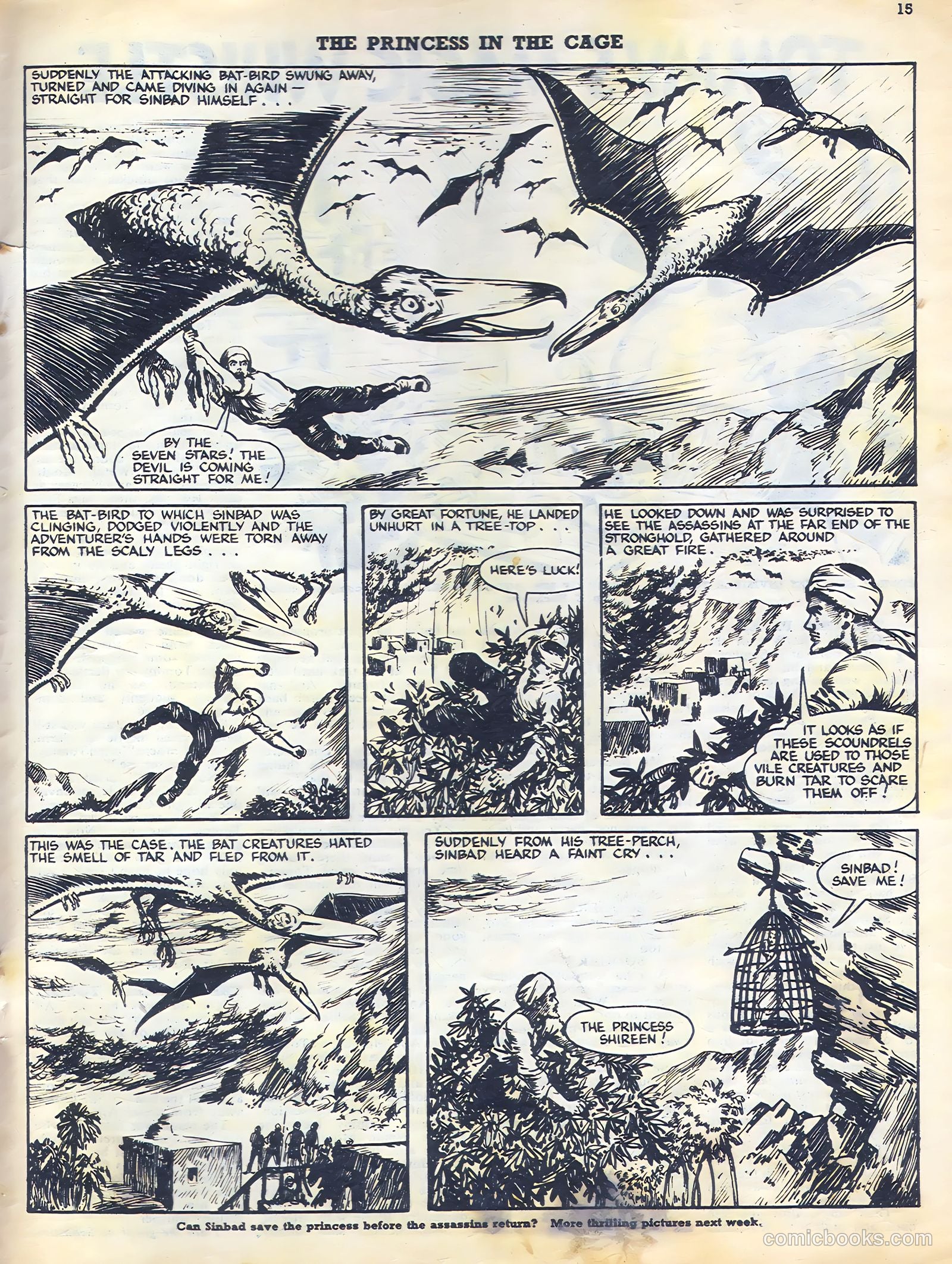Sun #169 — page 15 of 20