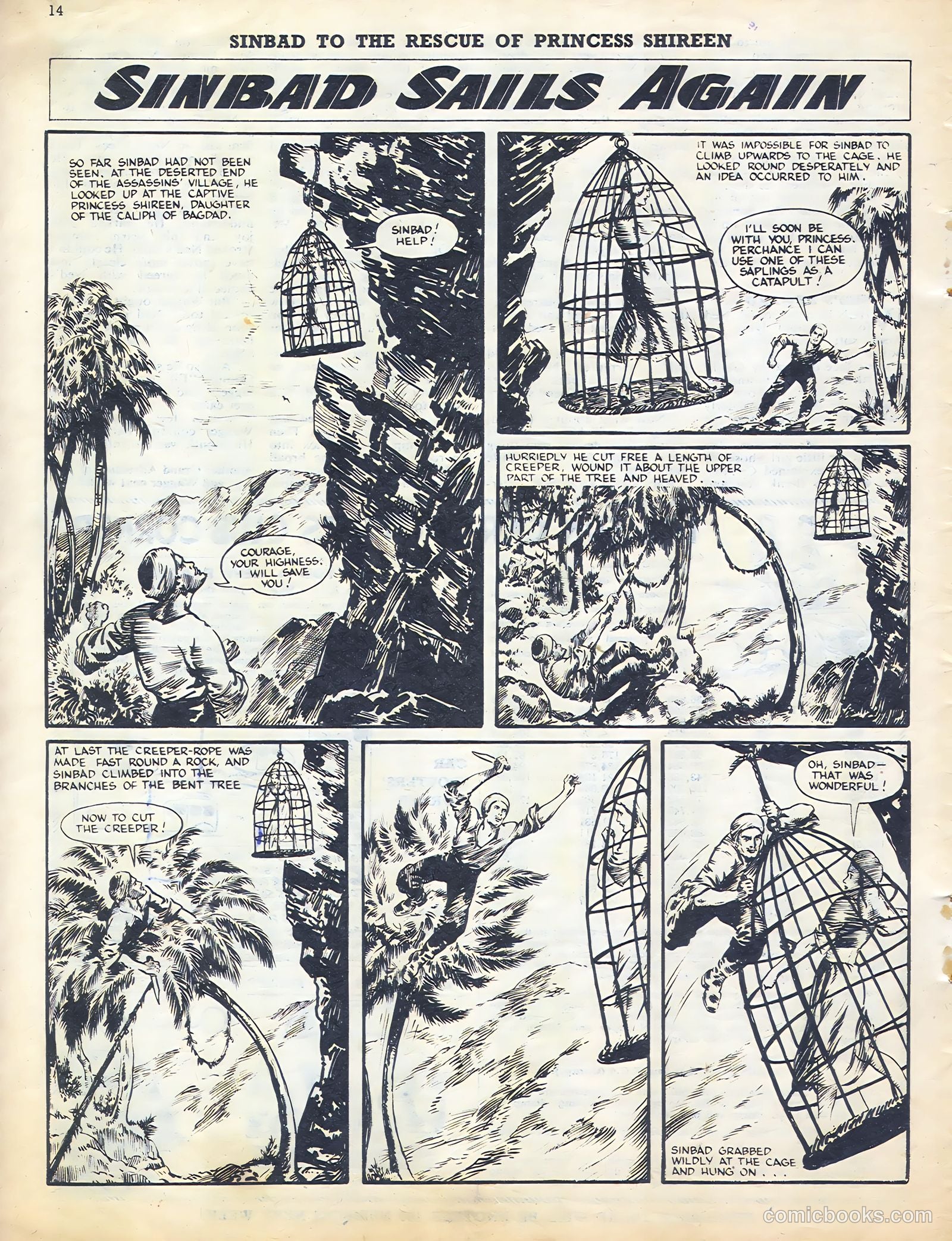 Sun #170 — page 14 of 20
