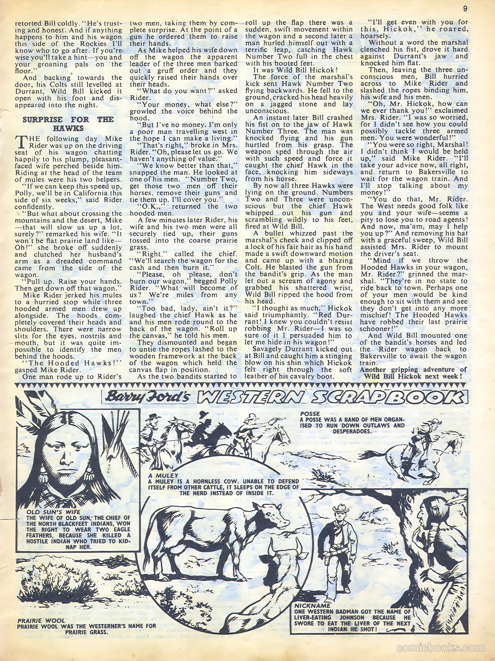 Sun #172 — page 9 of 20