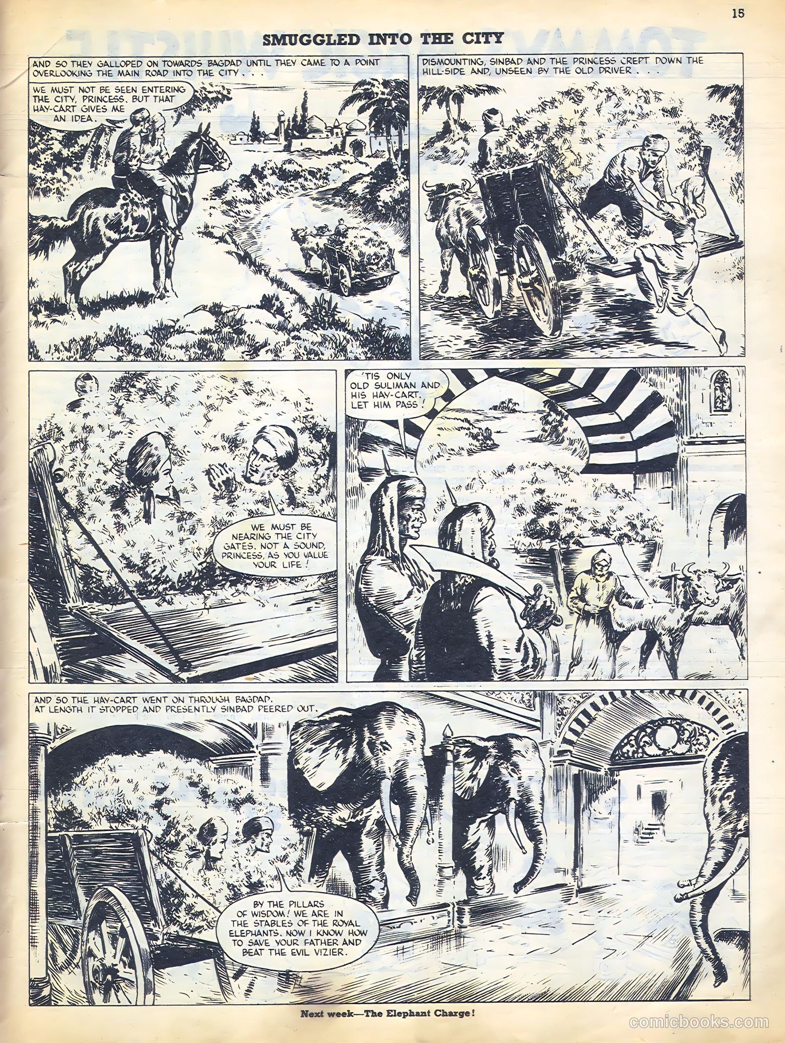 Sun #172 — page 15 of 20