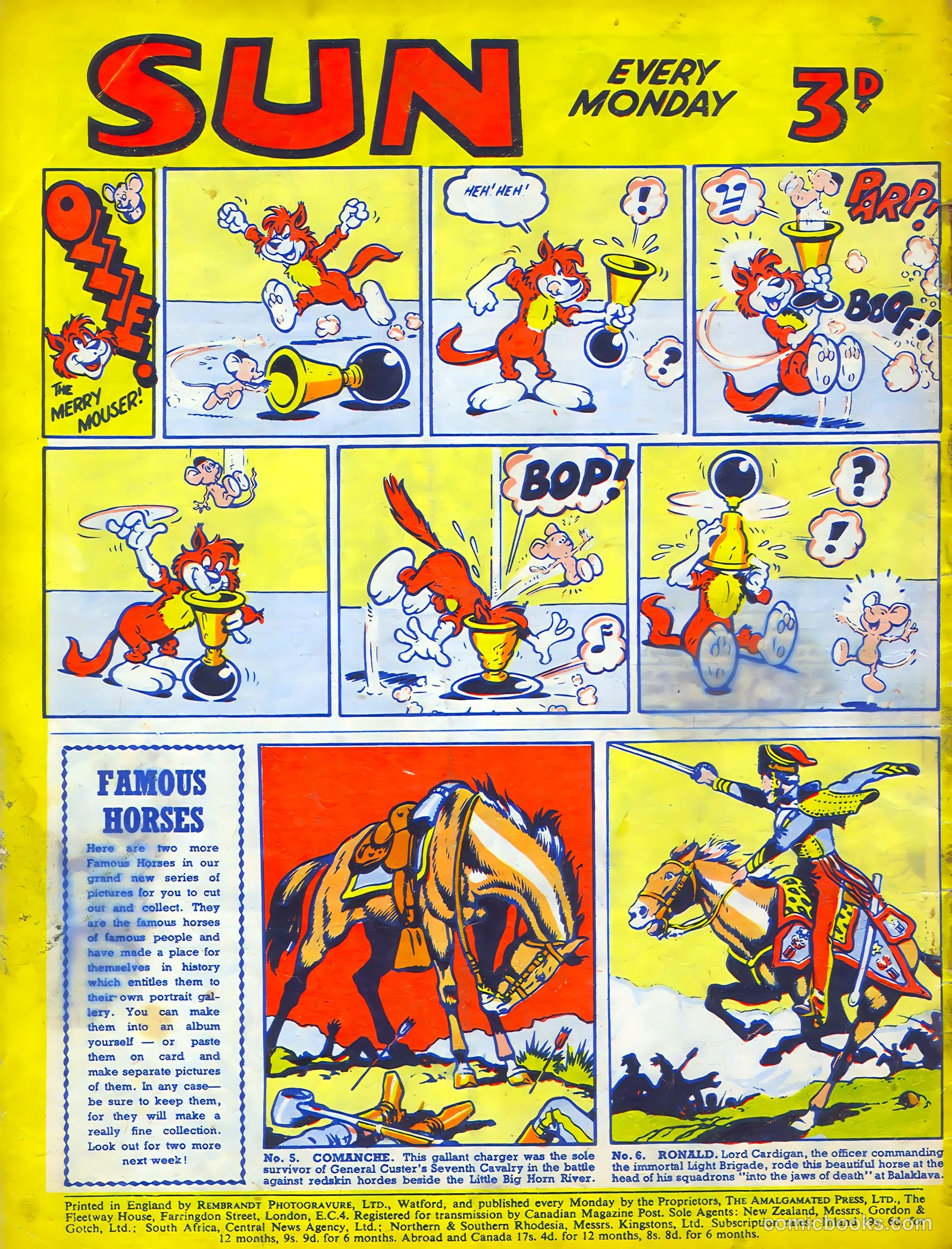 Sun #174 — page 20 of 20