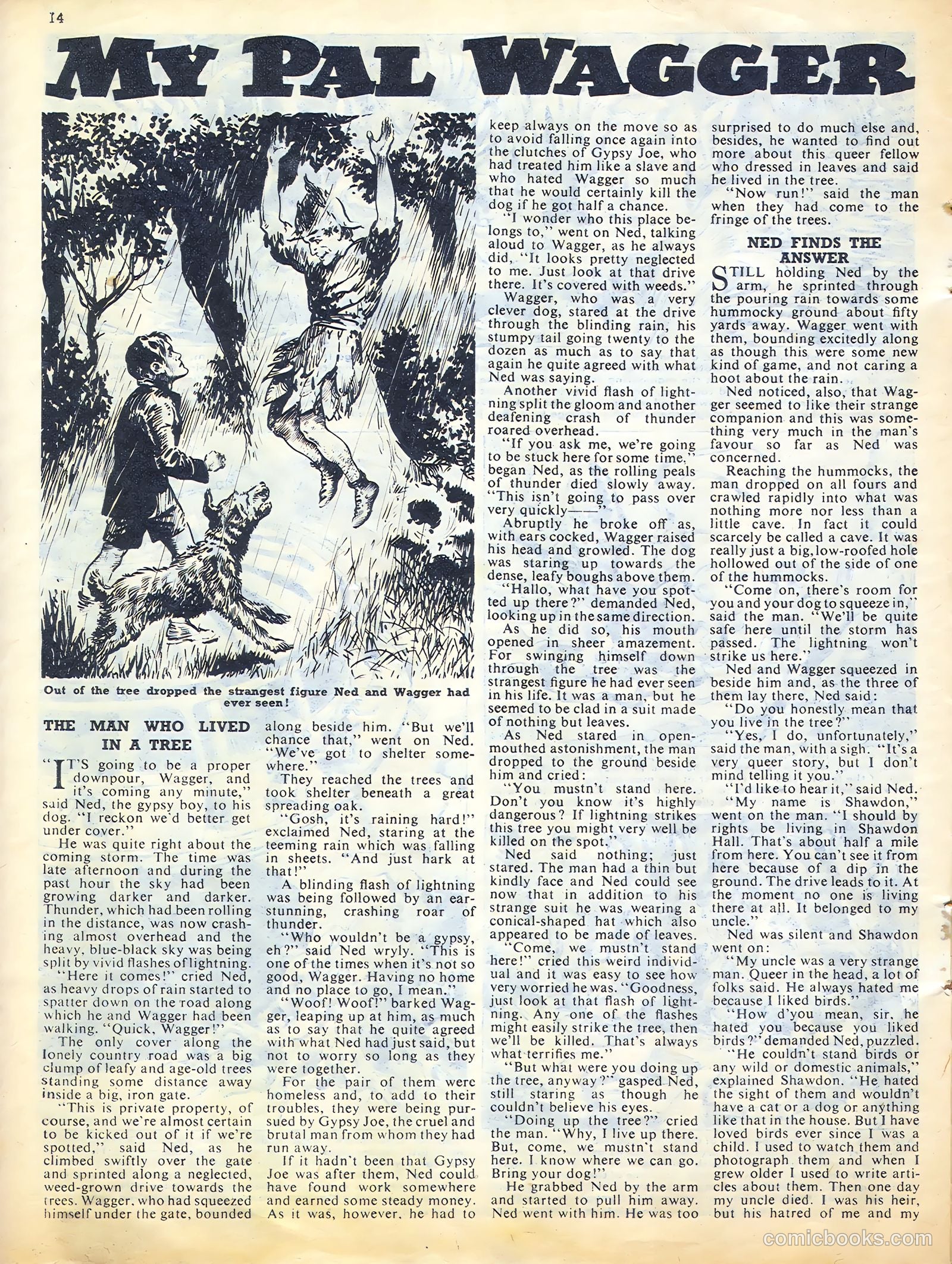 Sun #177 — page 14 of 20