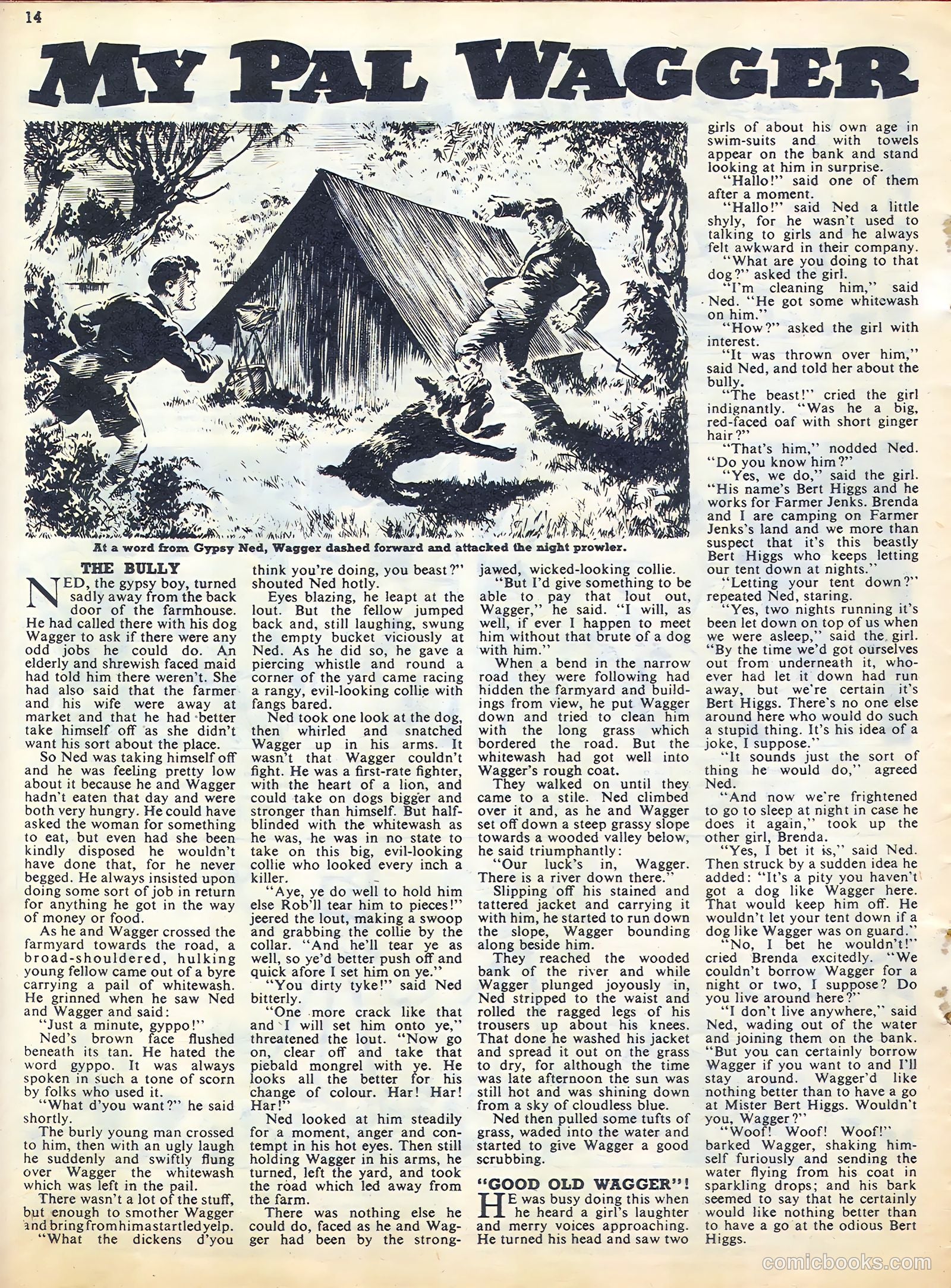 Sun #180 — page 14 of 20