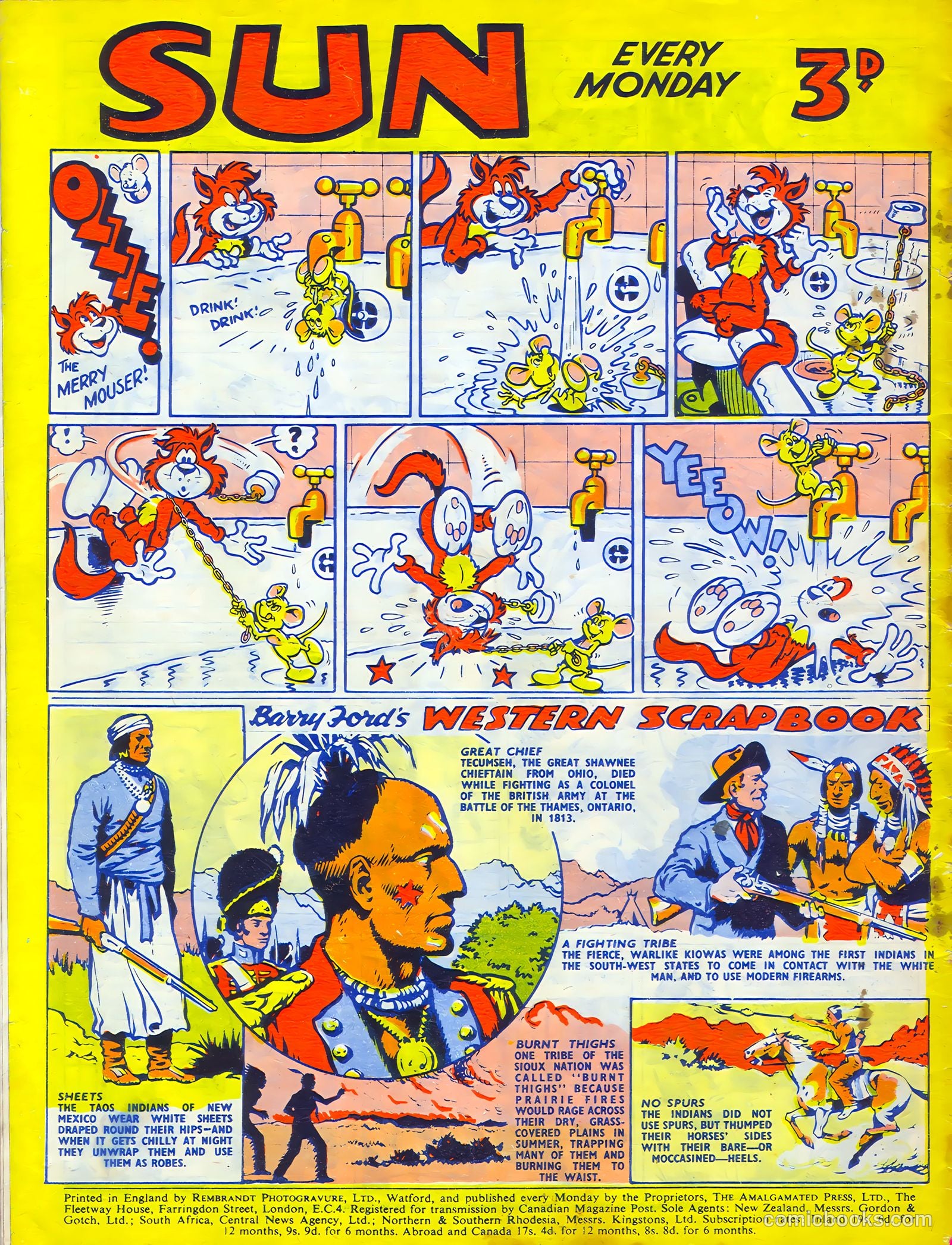 Sun #181 — page 20 of 20