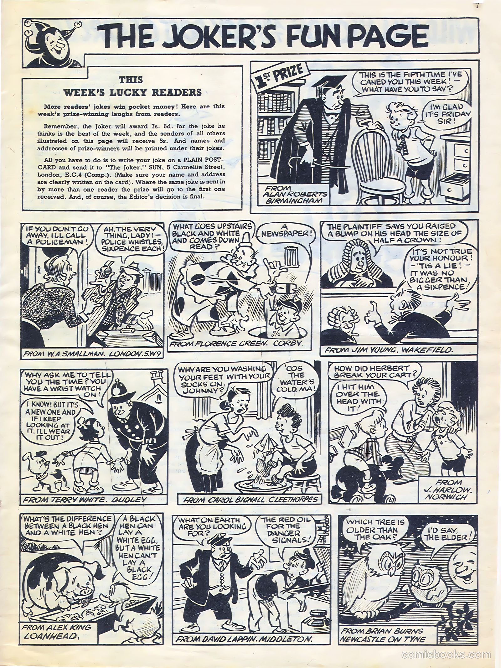Sun #182 — page 7 of 20