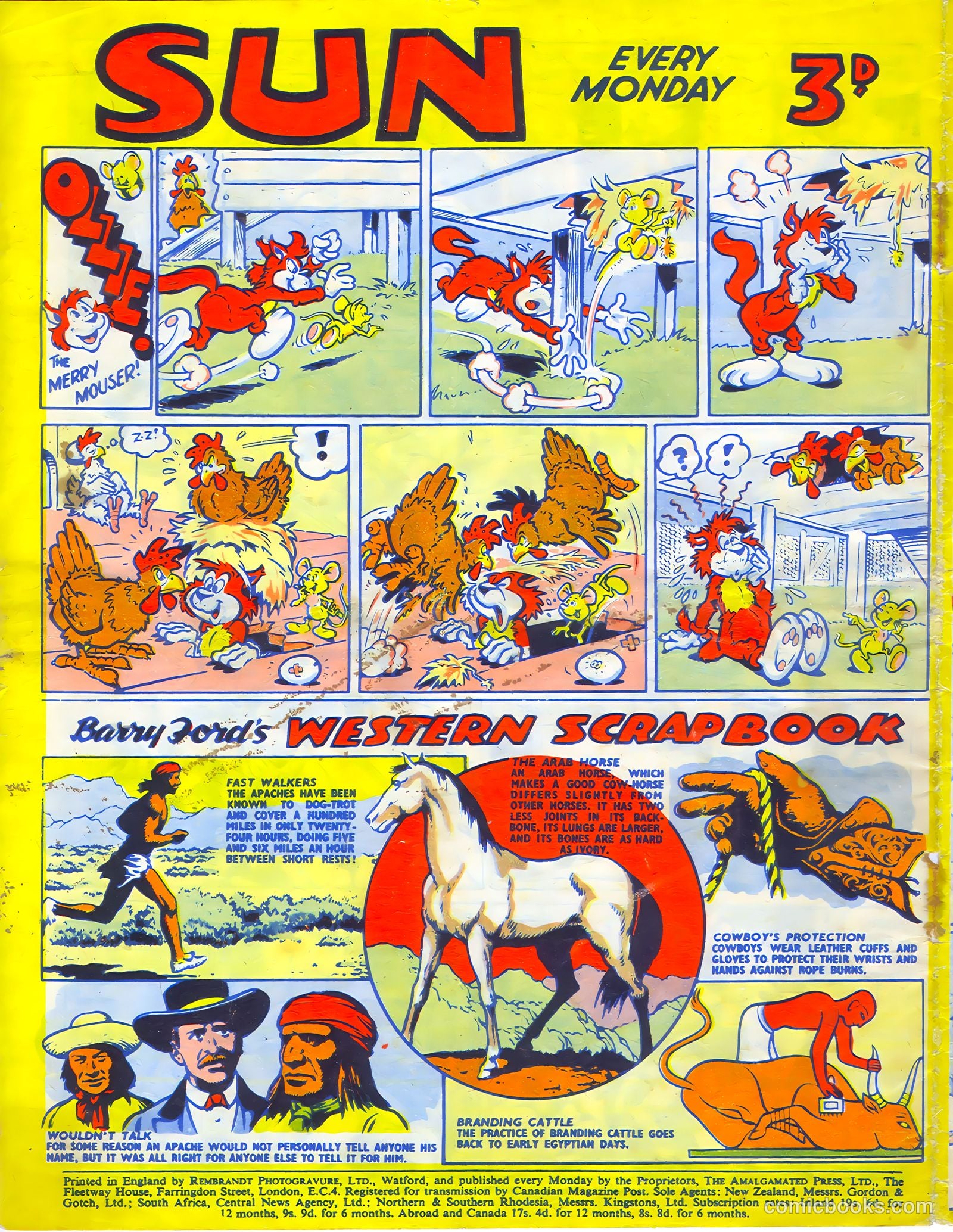 Sun #182 — page 20 of 20