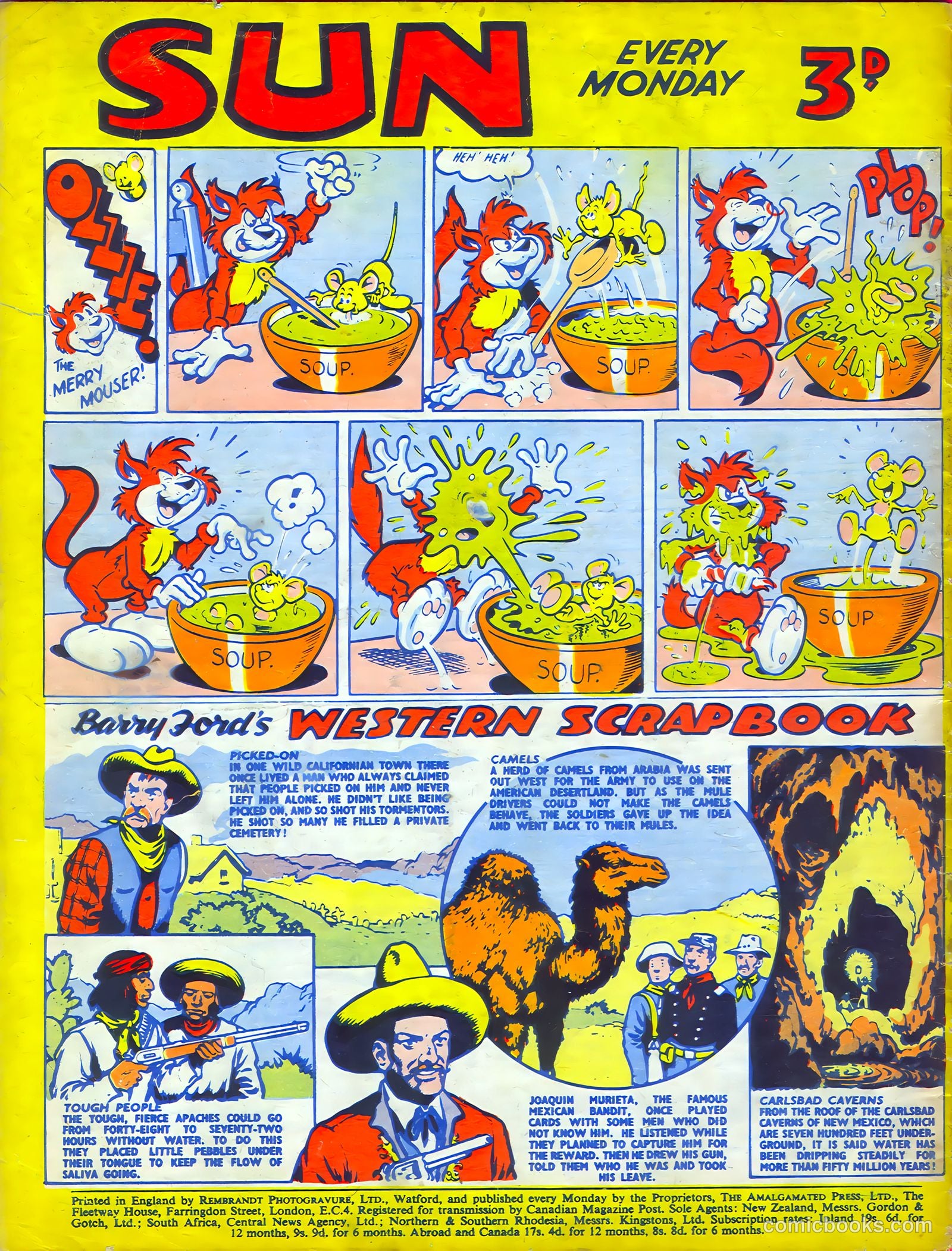 Sun #183 — page 20 of 20