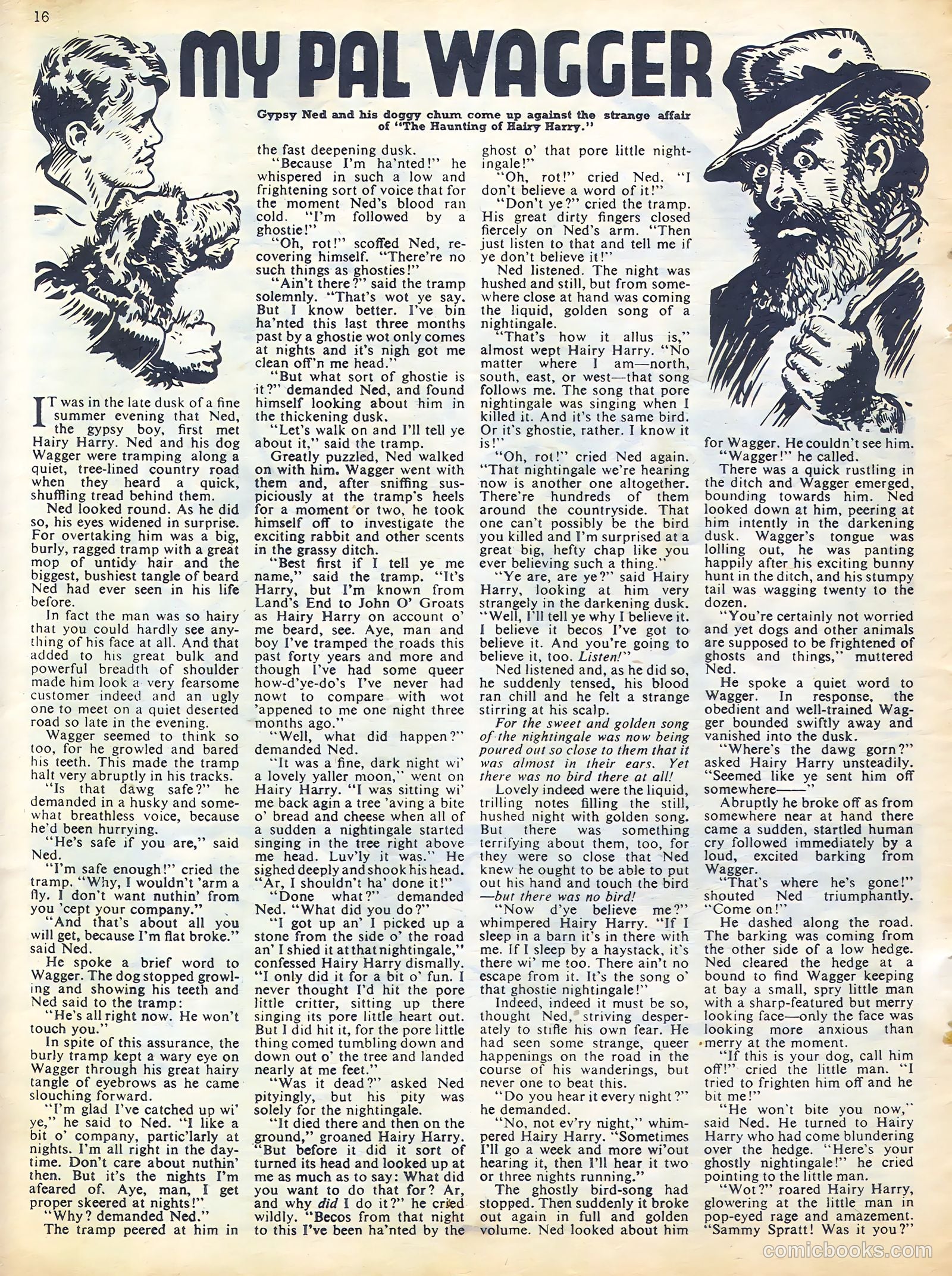 Sun #185 — page 16 of 20