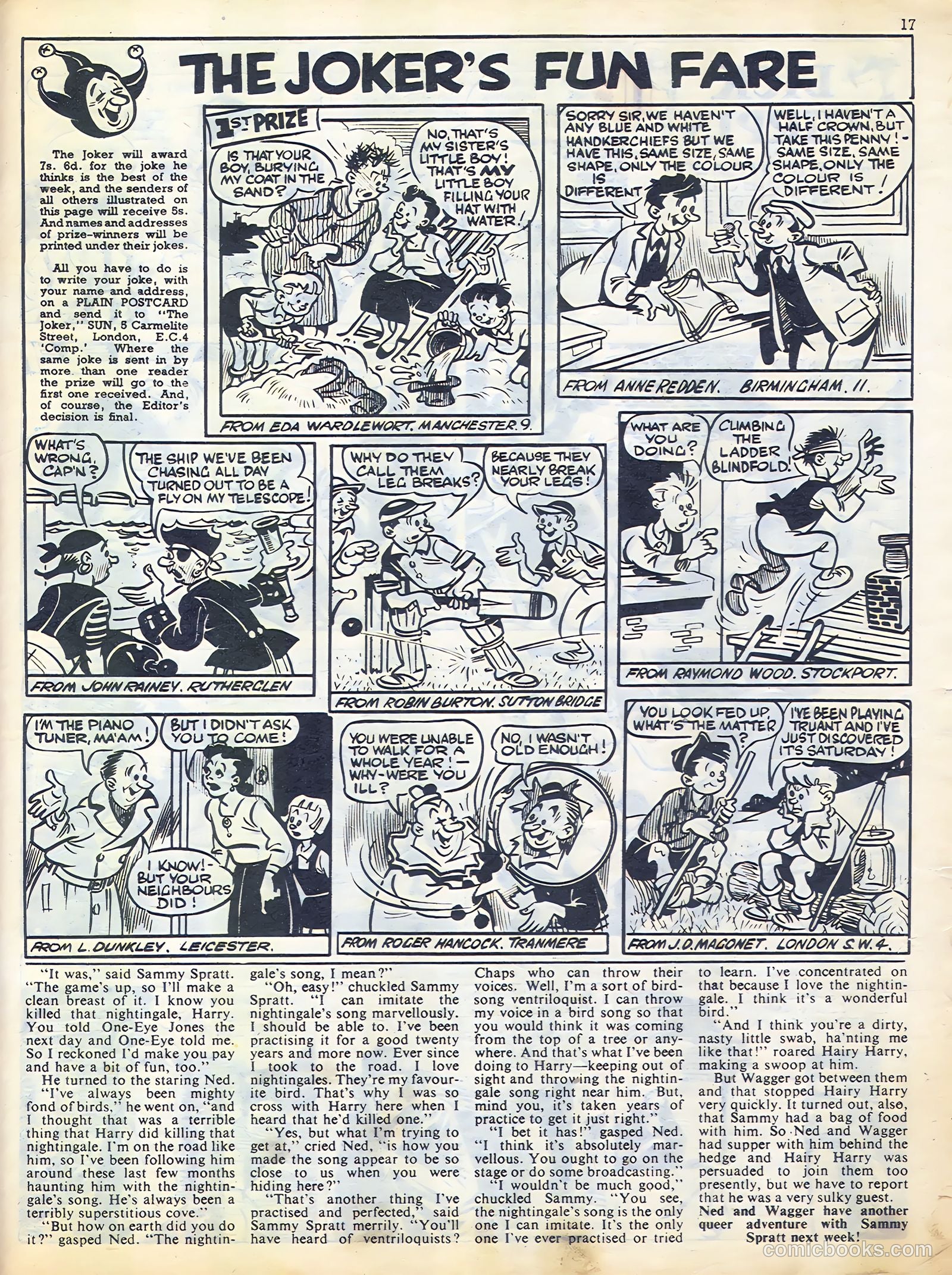 Sun #185 — page 17 of 20