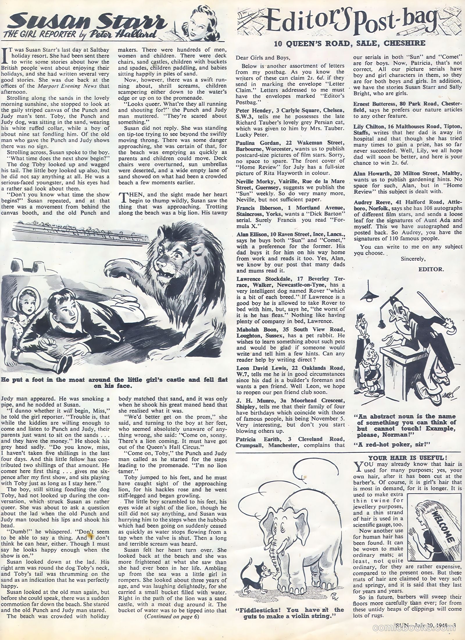 Sun #19 — page 3 of 7