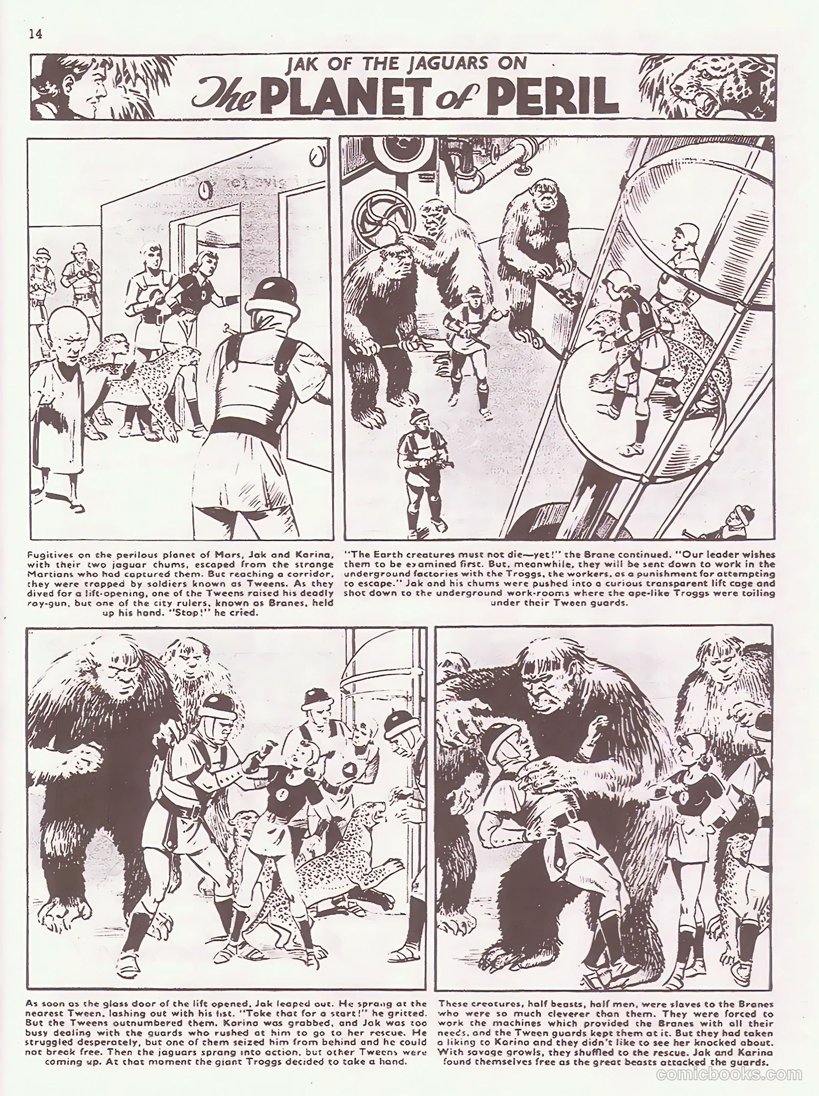 Sun #190 — page 14 of 20