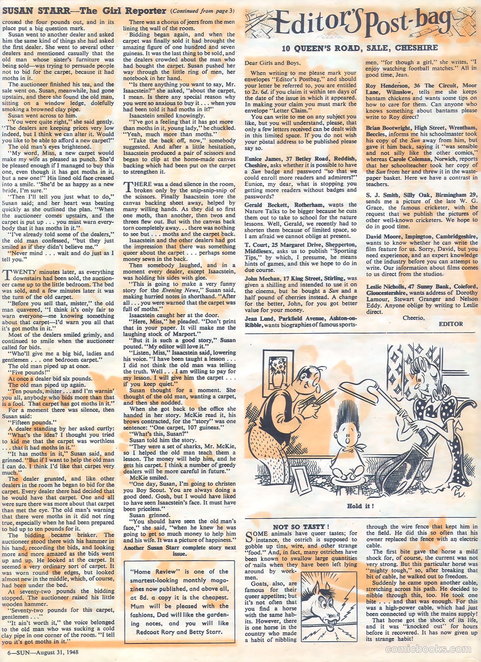 Sun #22 — page 5 of 7