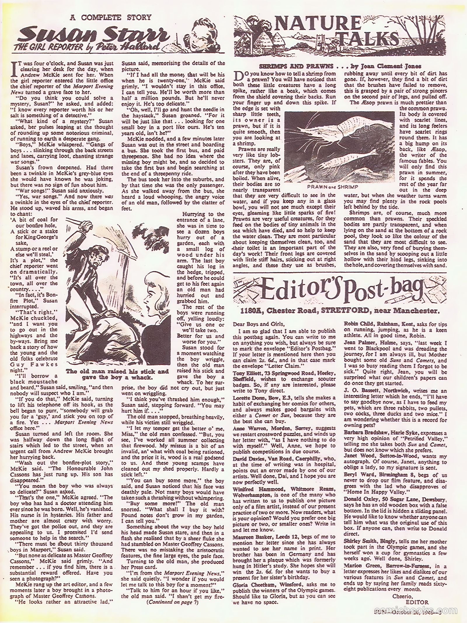 Sun #26 — page 3 of 7