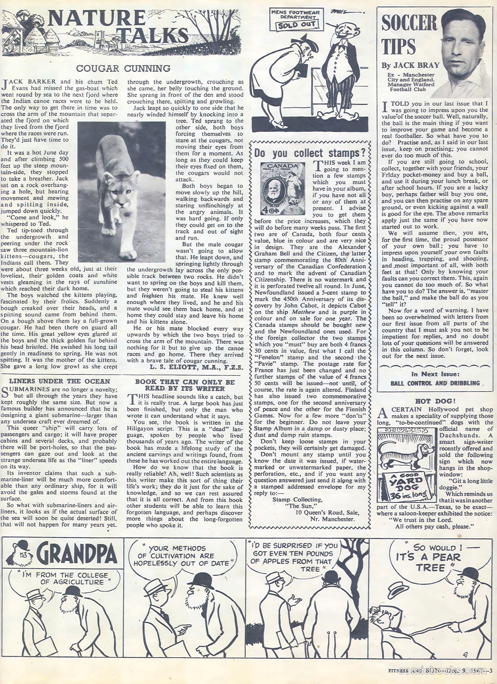 Sun #3 — page 3 of 7