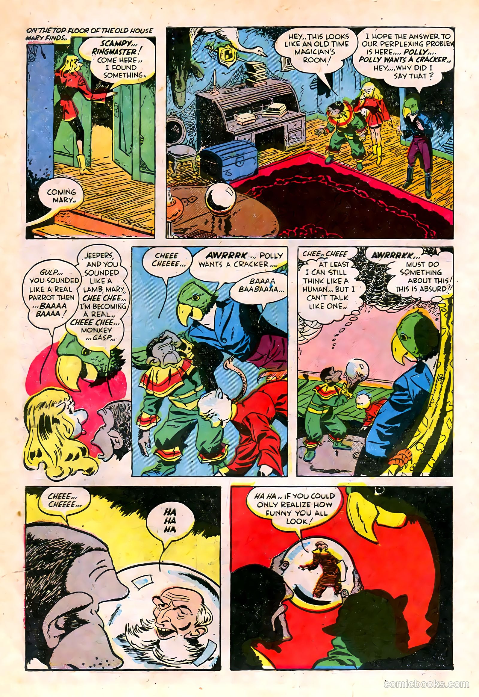 Super Circus #5 — page 7 of 37