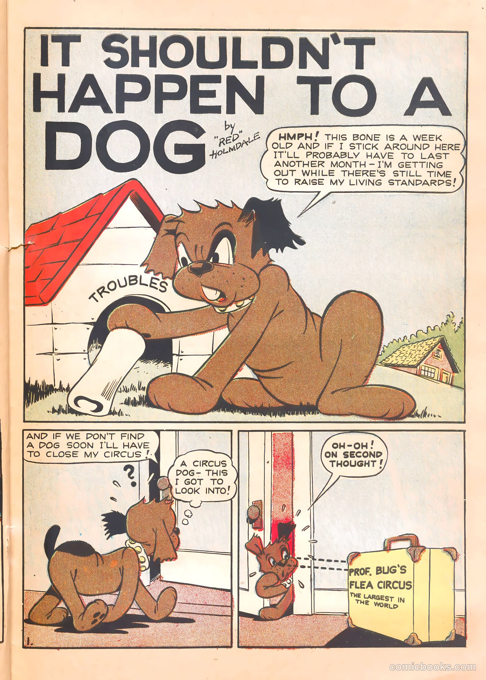 Super Duck Comics #23 — page 39 of 52