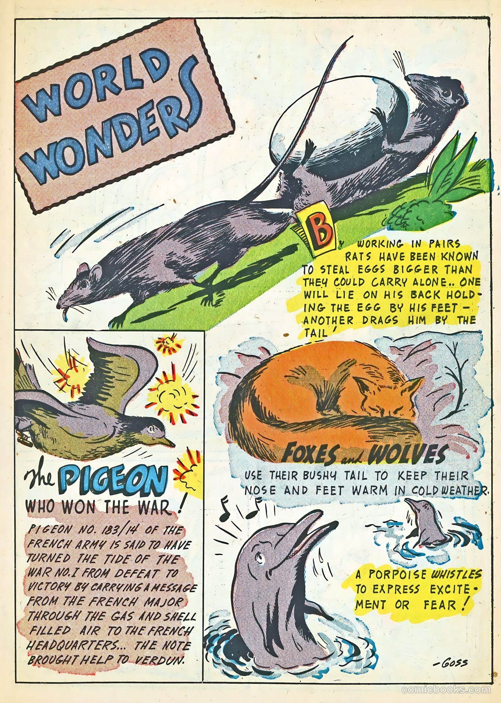 Super Duper #5 — page 39 of 52