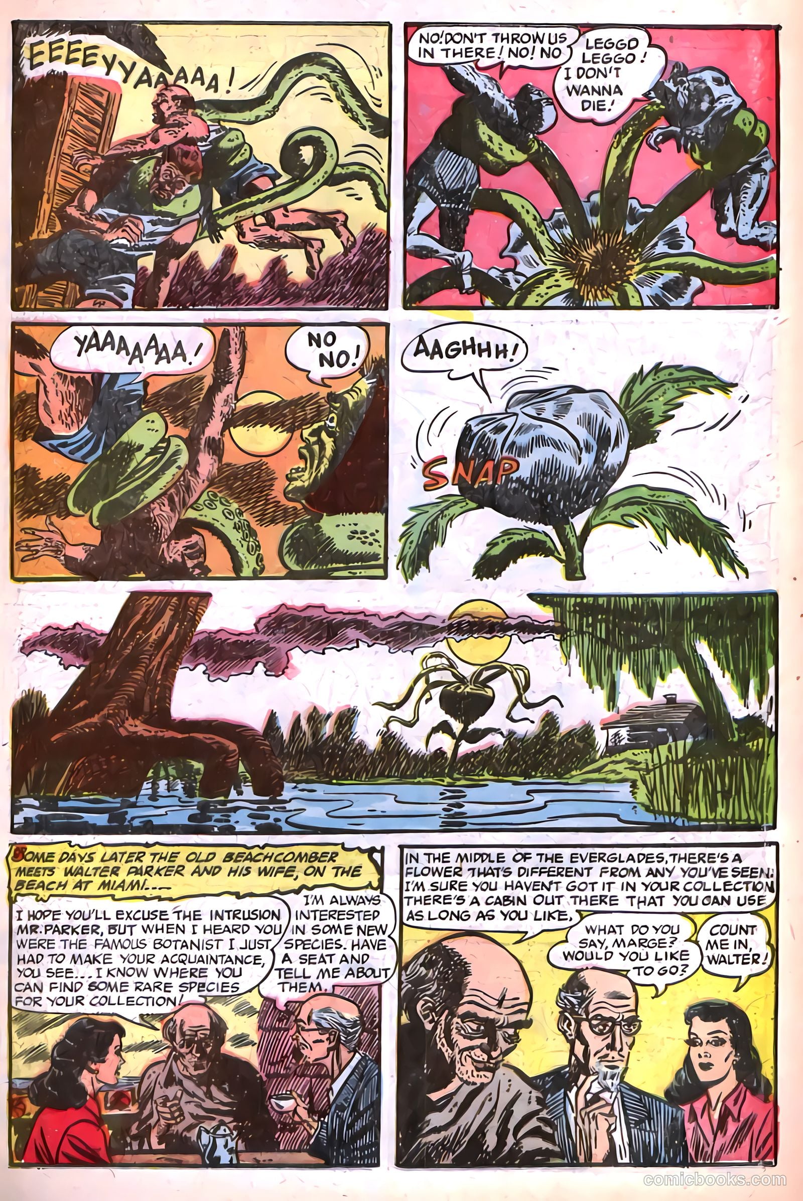 Tales of Horror #11 — page 15 of 36