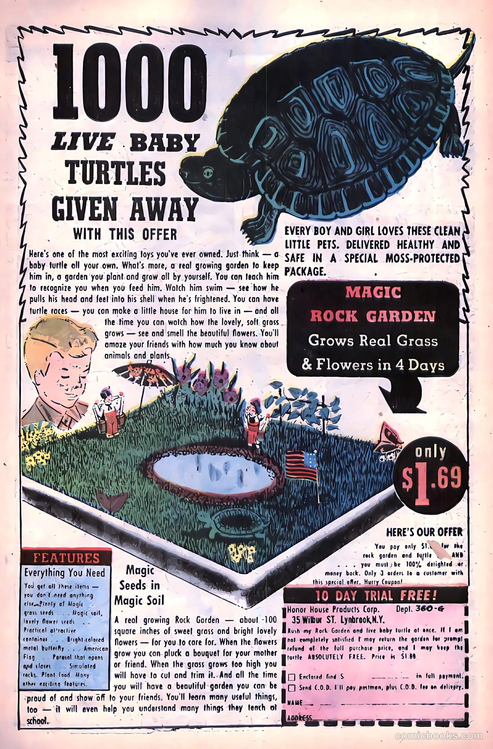 Tales of Horror #11 — page 17 of 36