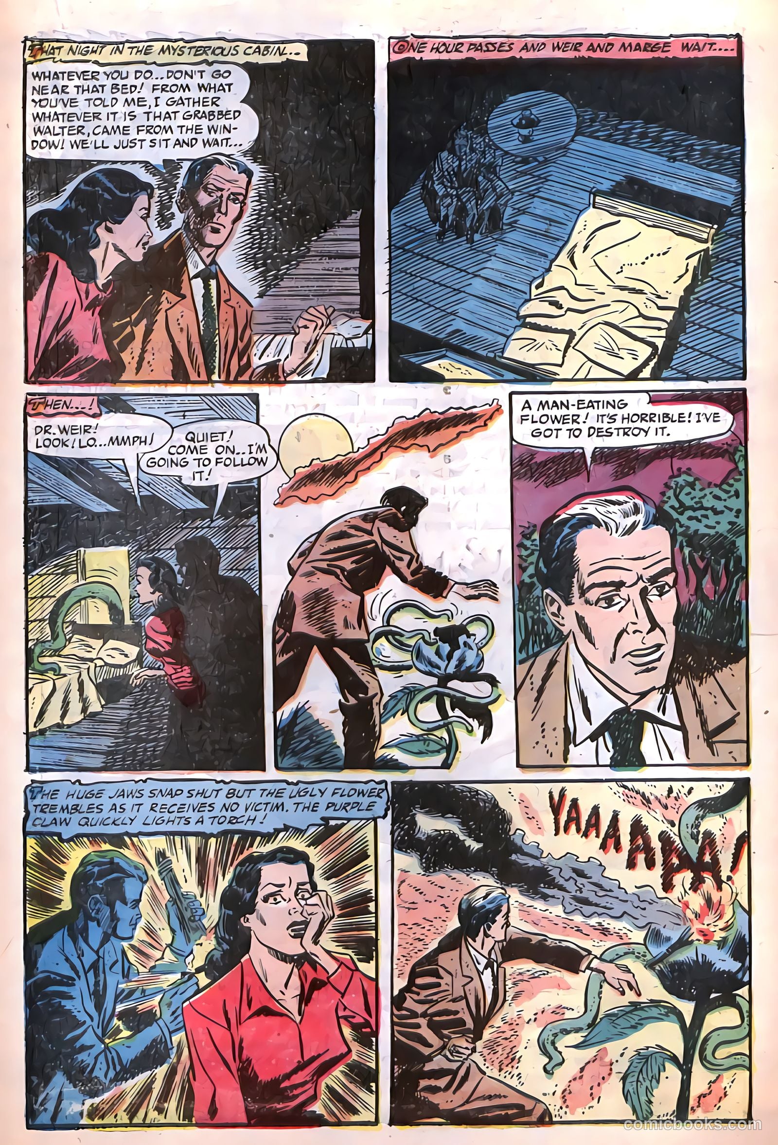 Tales of Horror #11 — page 18 of 36