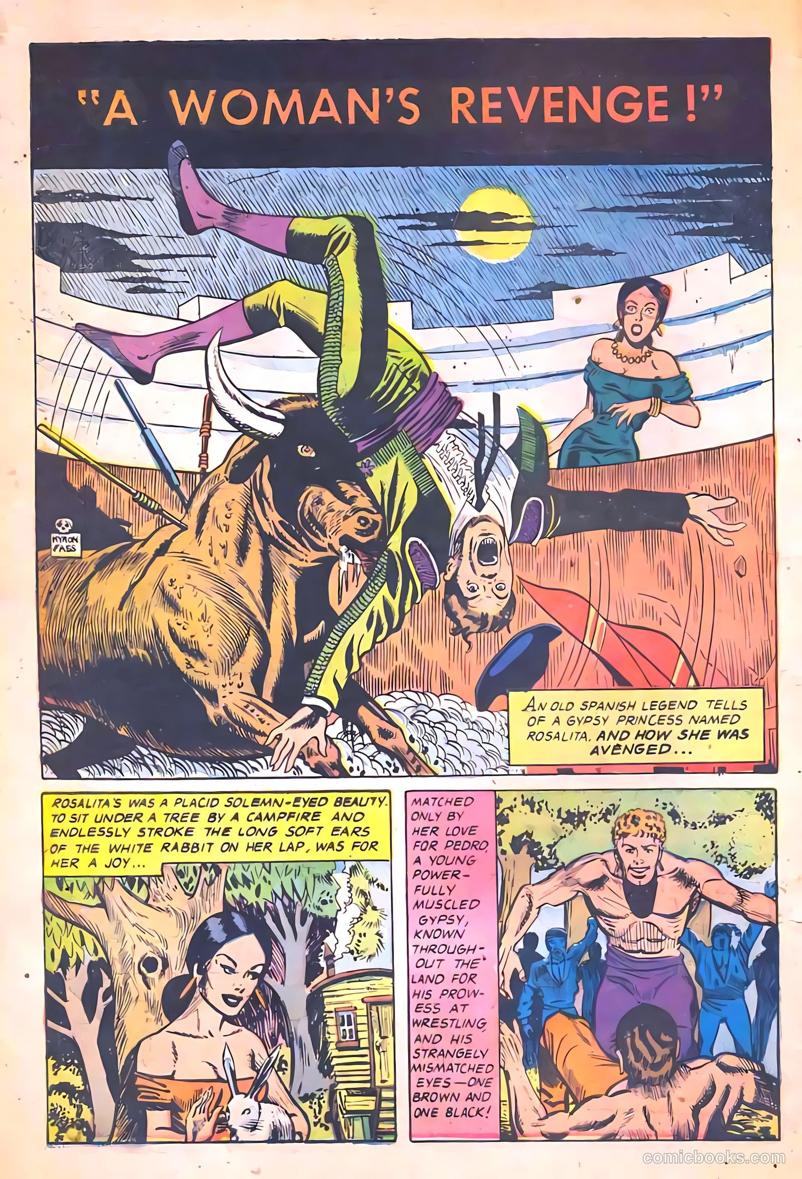 Tales of Horror #13 — page 4 of 36