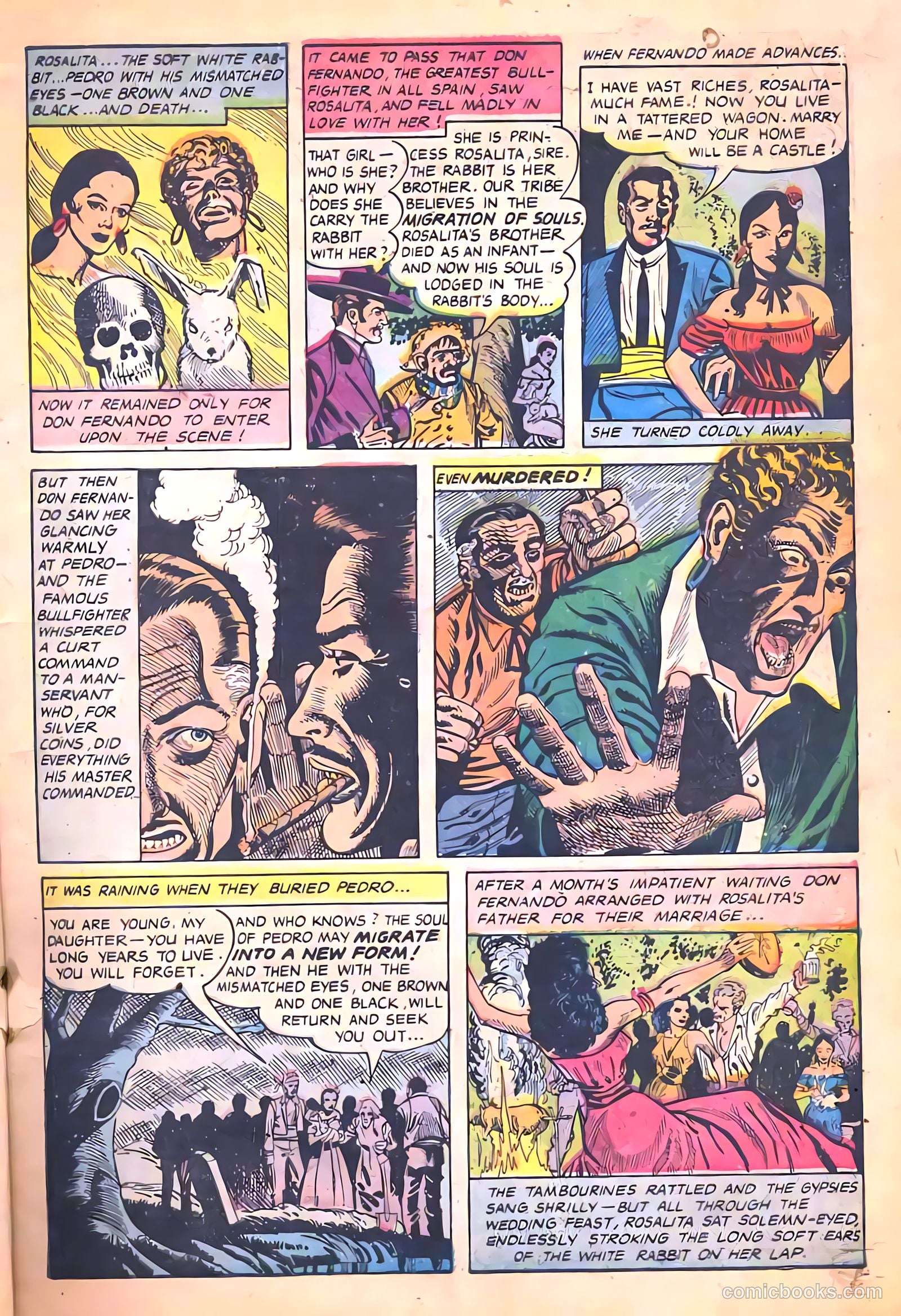 Tales of Horror #13 — page 5 of 36
