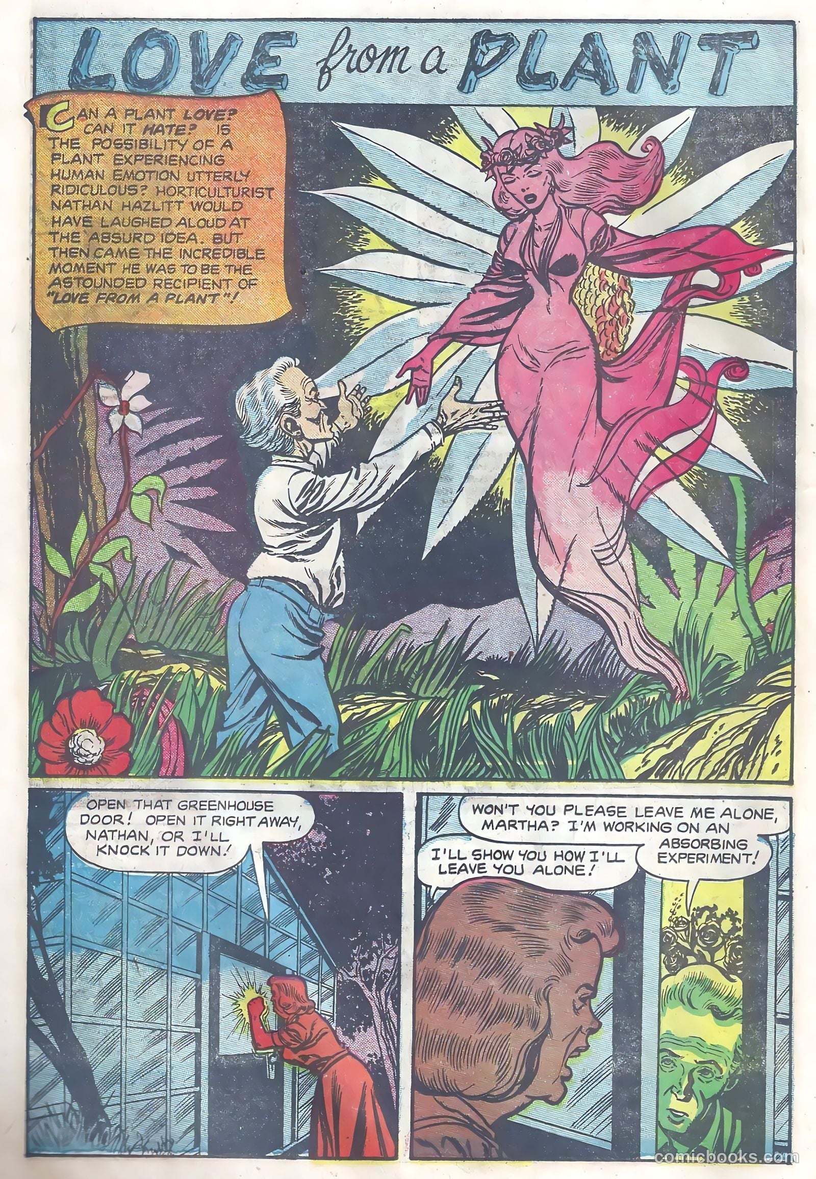 Tales of Horror #2 — page 26 of 36