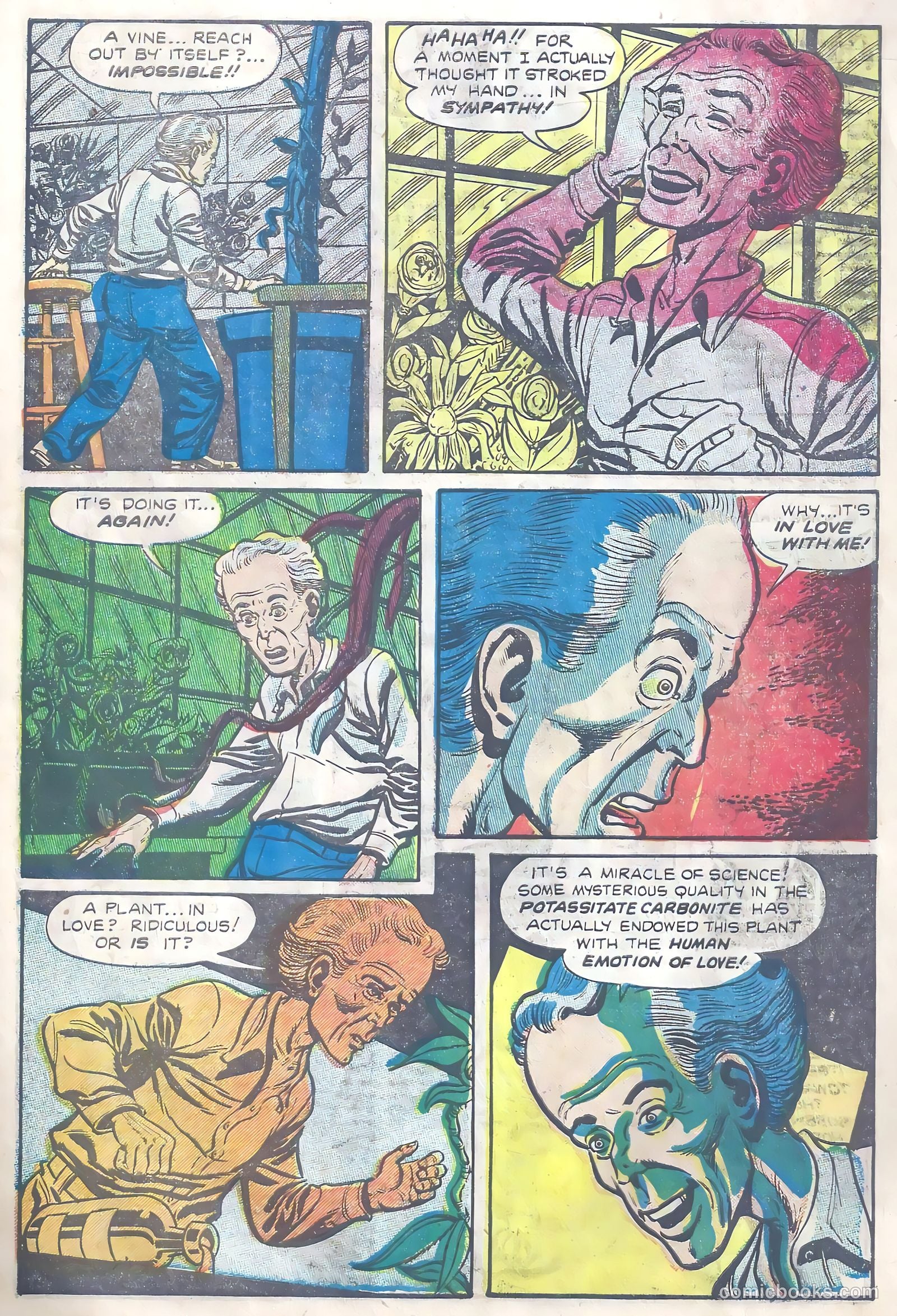 Tales of Horror #2 — page 29 of 36