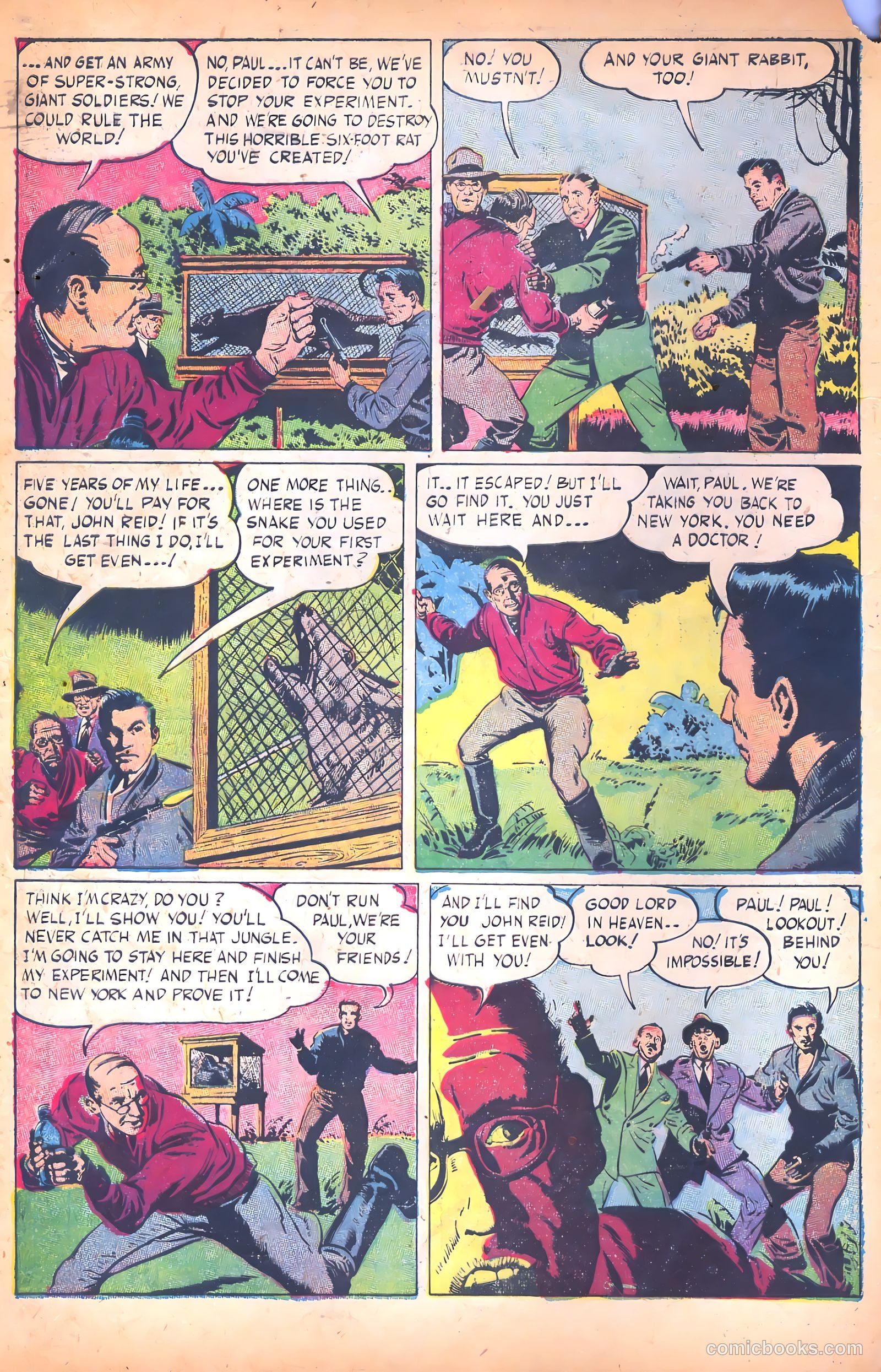 Tales of Horror #3 — page 4 of 36