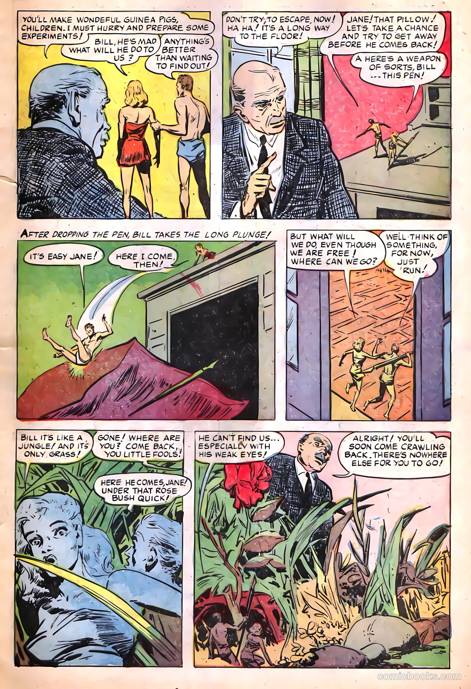 Tales of Horror #4 — page 5 of 36