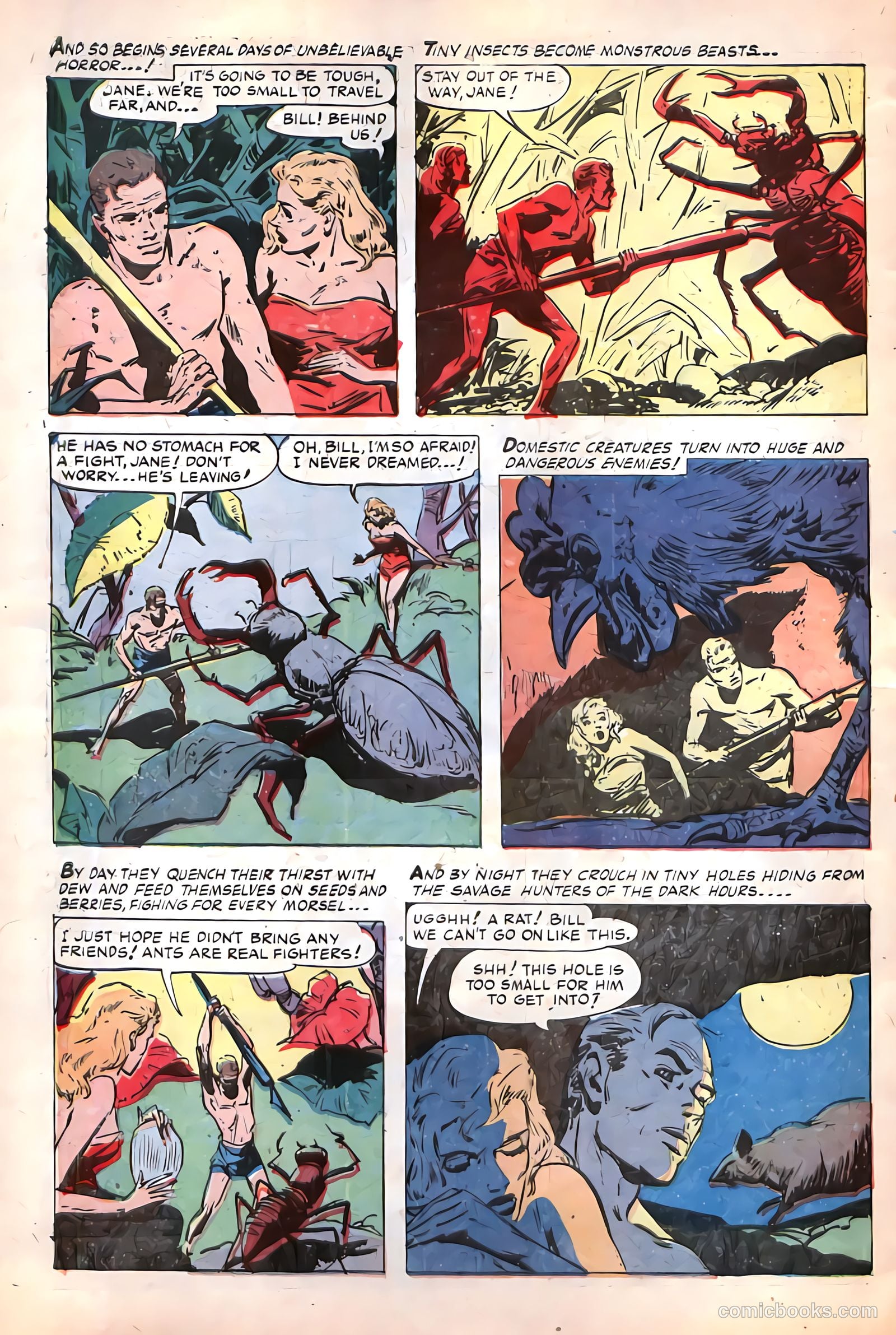 Tales of Horror #4 — page 6 of 36