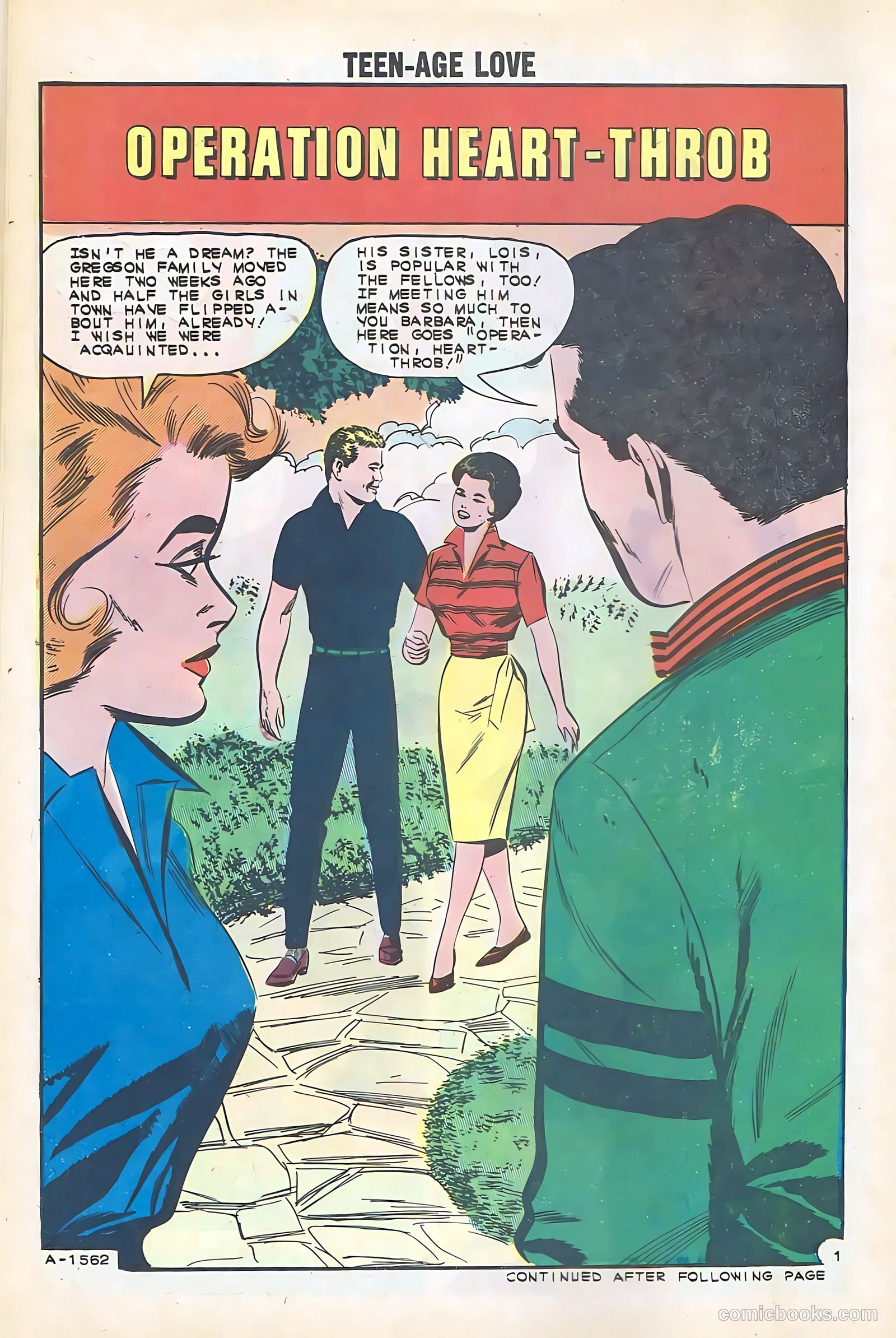 Teen-Age Love #28 — page 14 of 36