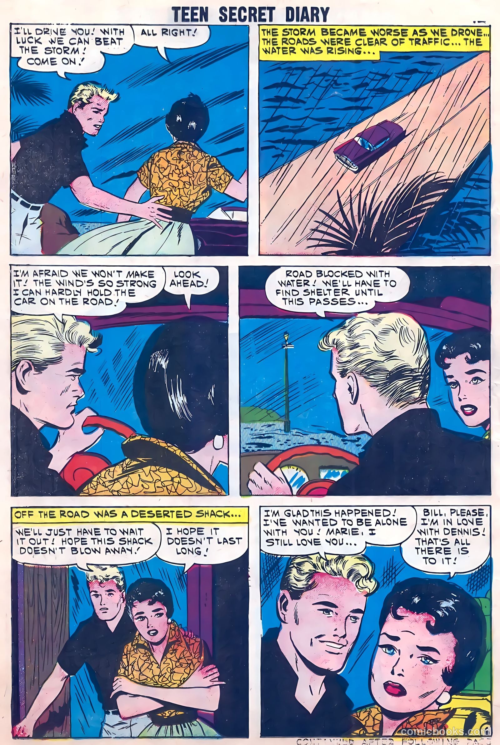 Teen Secret Diary #8 — page 14 of 36