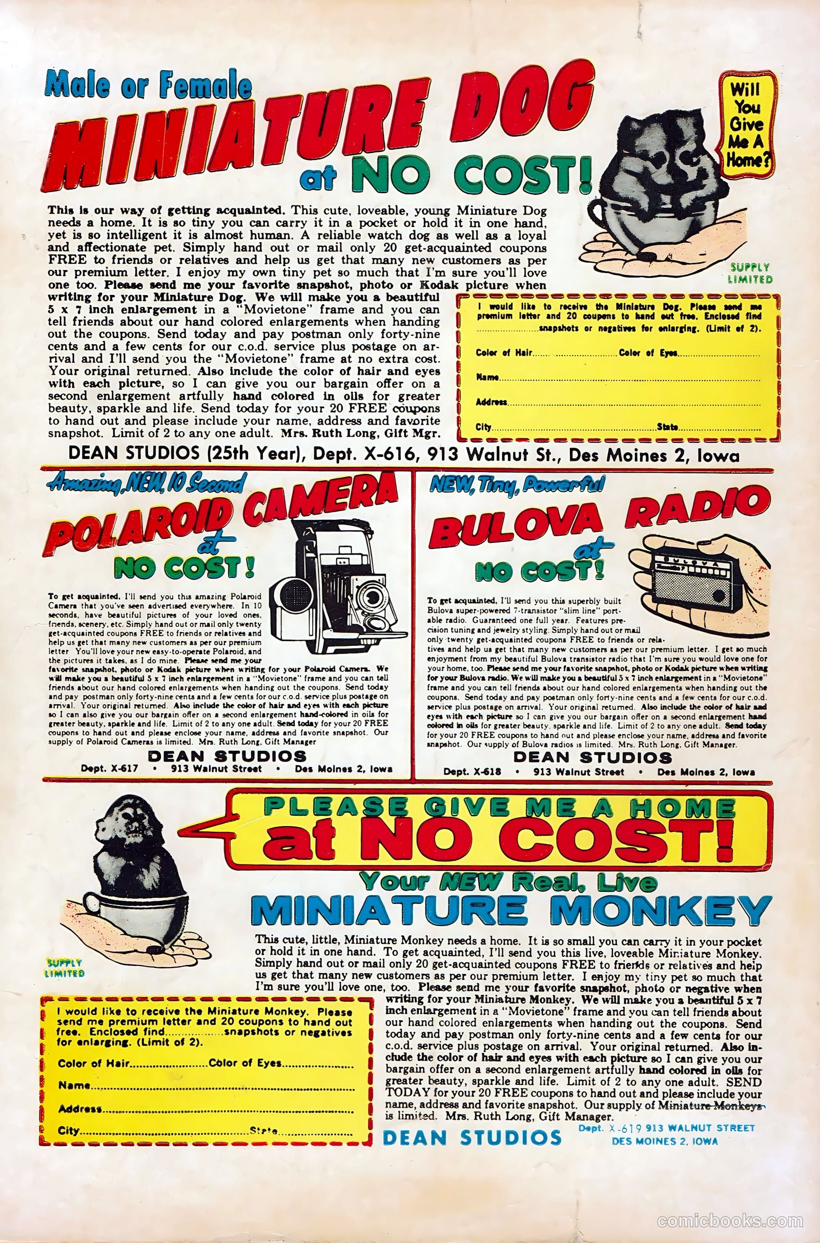 Teenage Hotrodders #3 — page 36 of 36