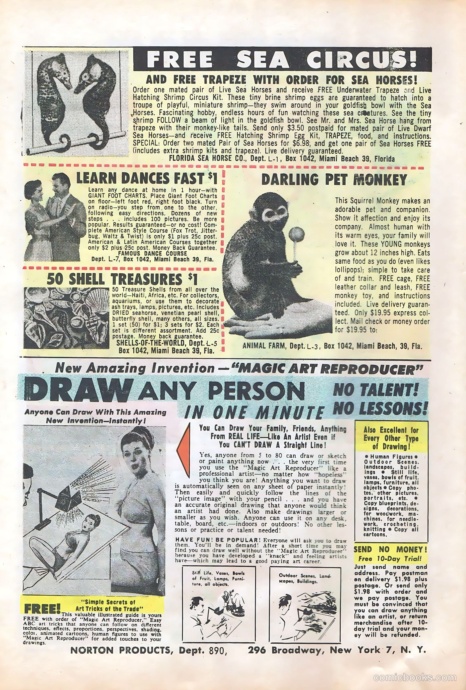 Teenage Hotrodders #5 — page 6 of 36