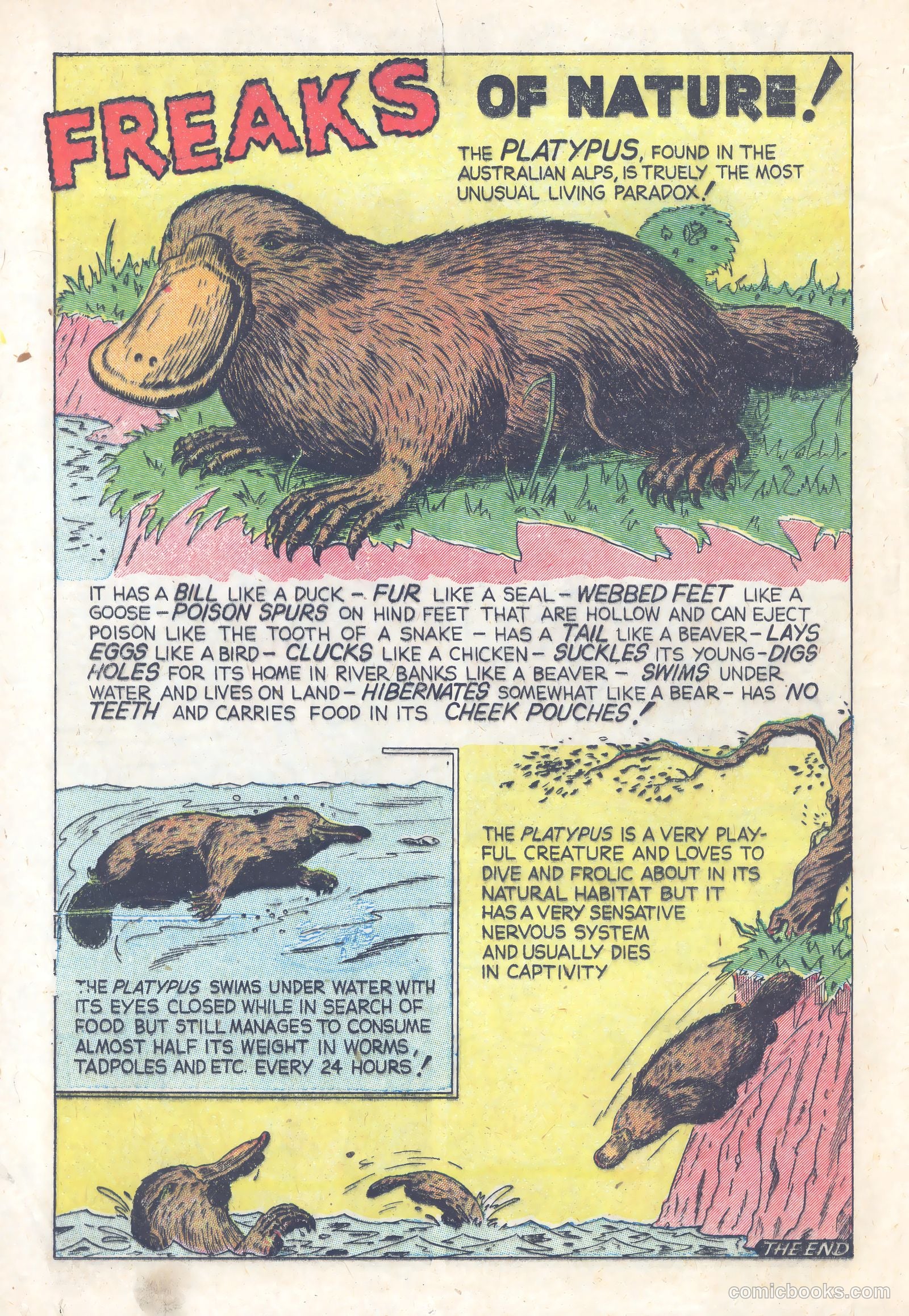 Terrors of the Jungle #21 — page 12 of 36