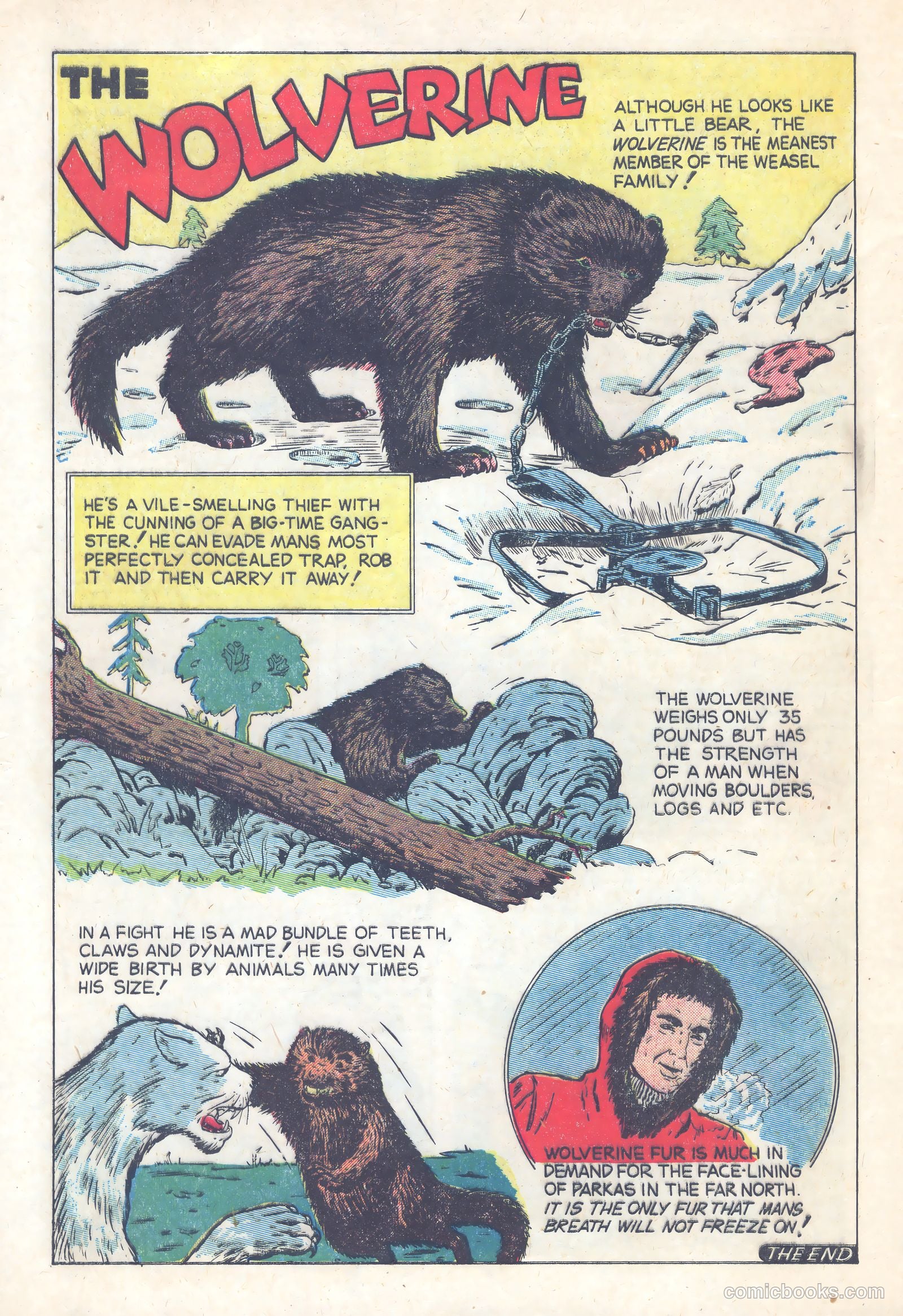 Terrors of the Jungle #21 — page 32 of 36