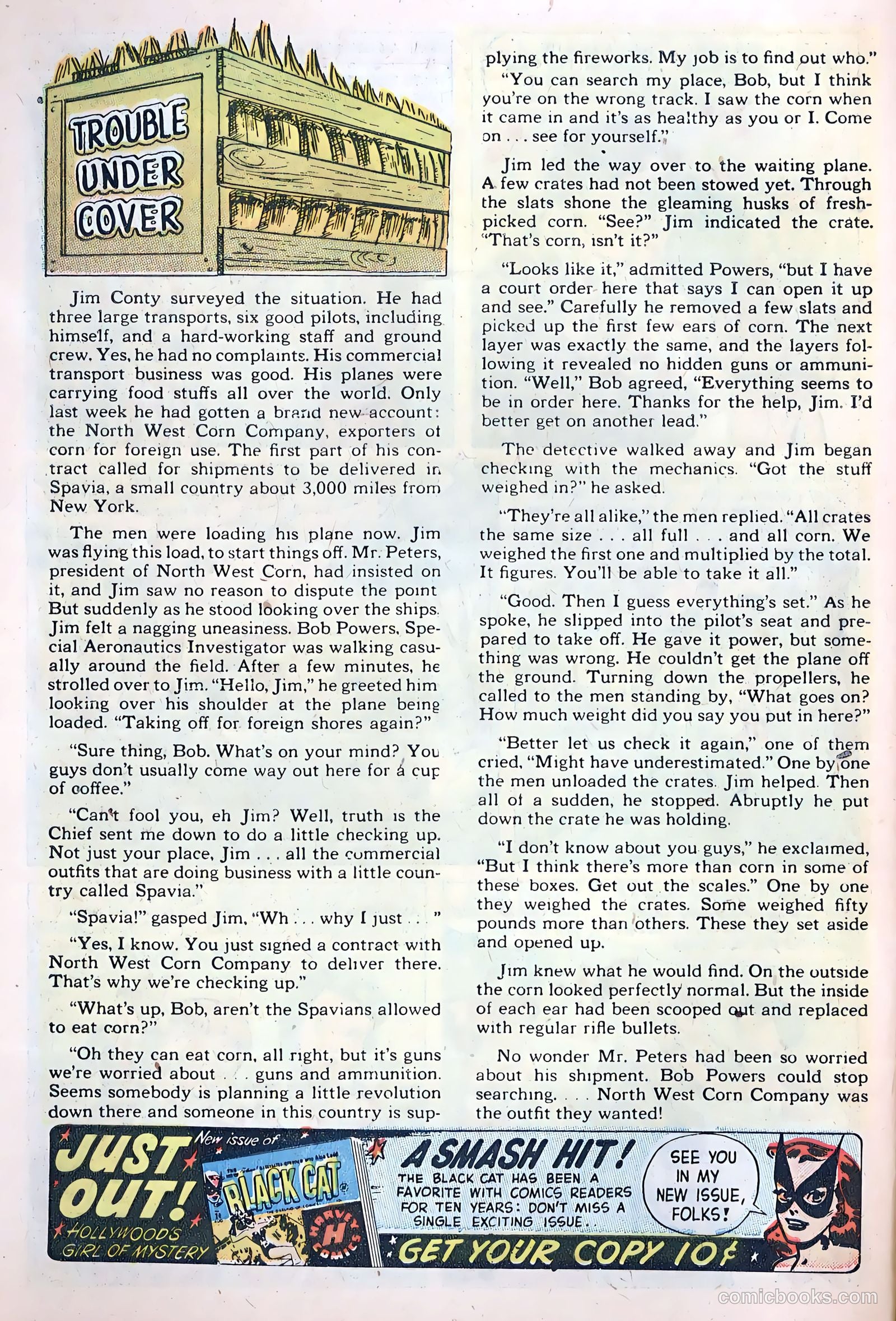 Terry and the Pirates #23 — page 30 of 36