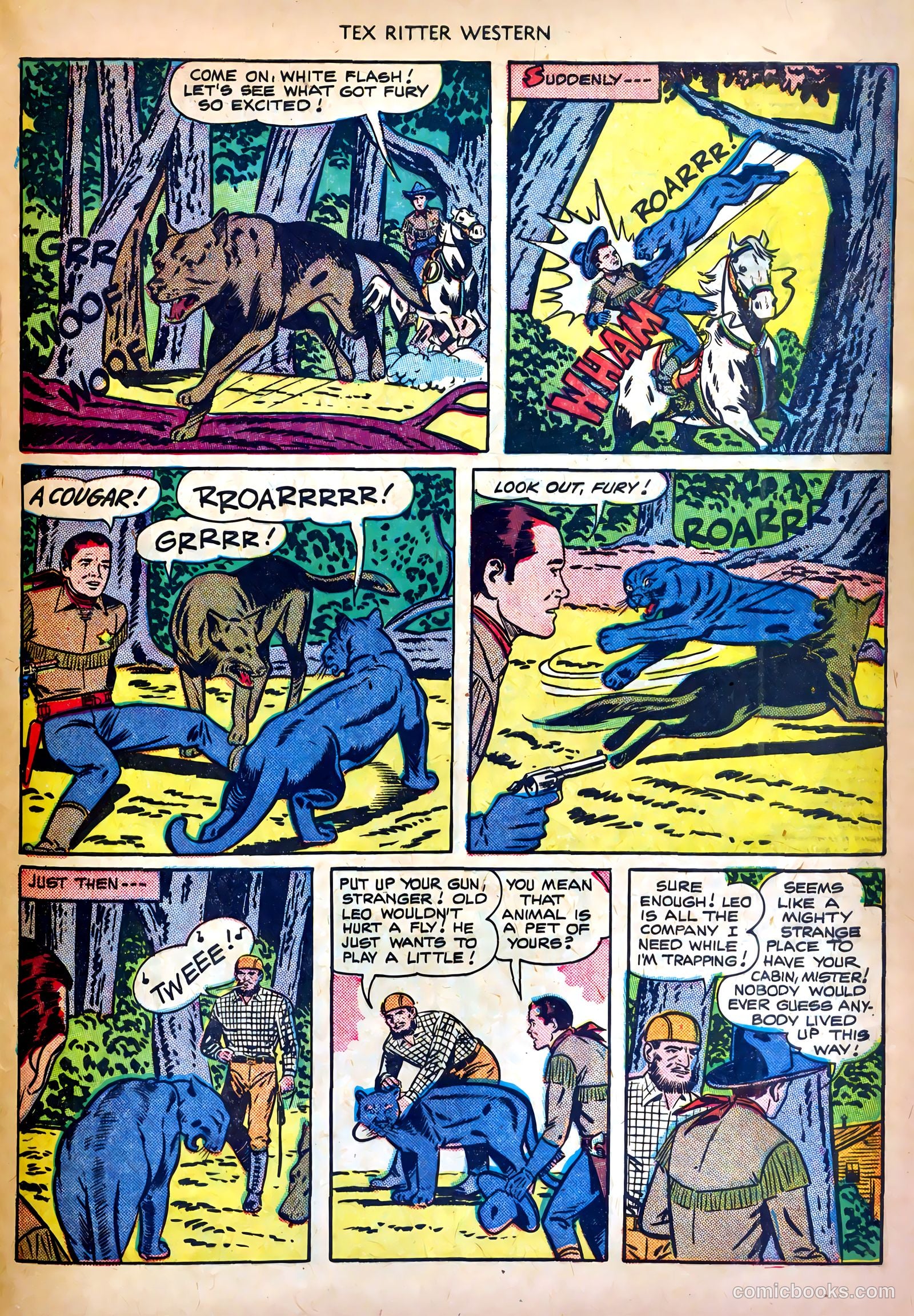 Tex Ritter Western #4 — page 29 of 36