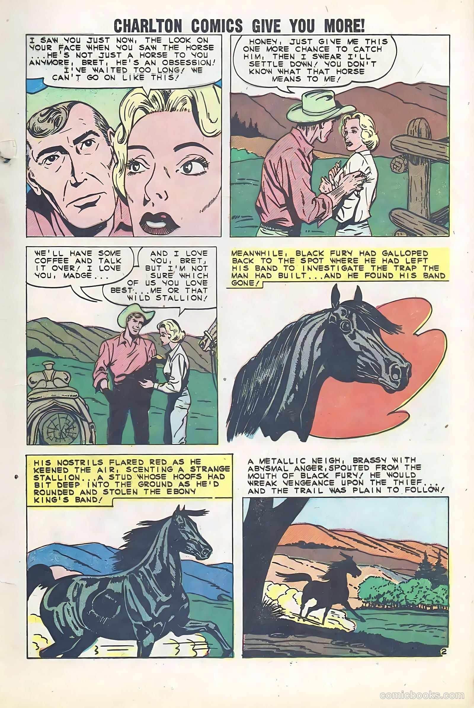 Texas Rangers in Action #25 — page 17 of 36