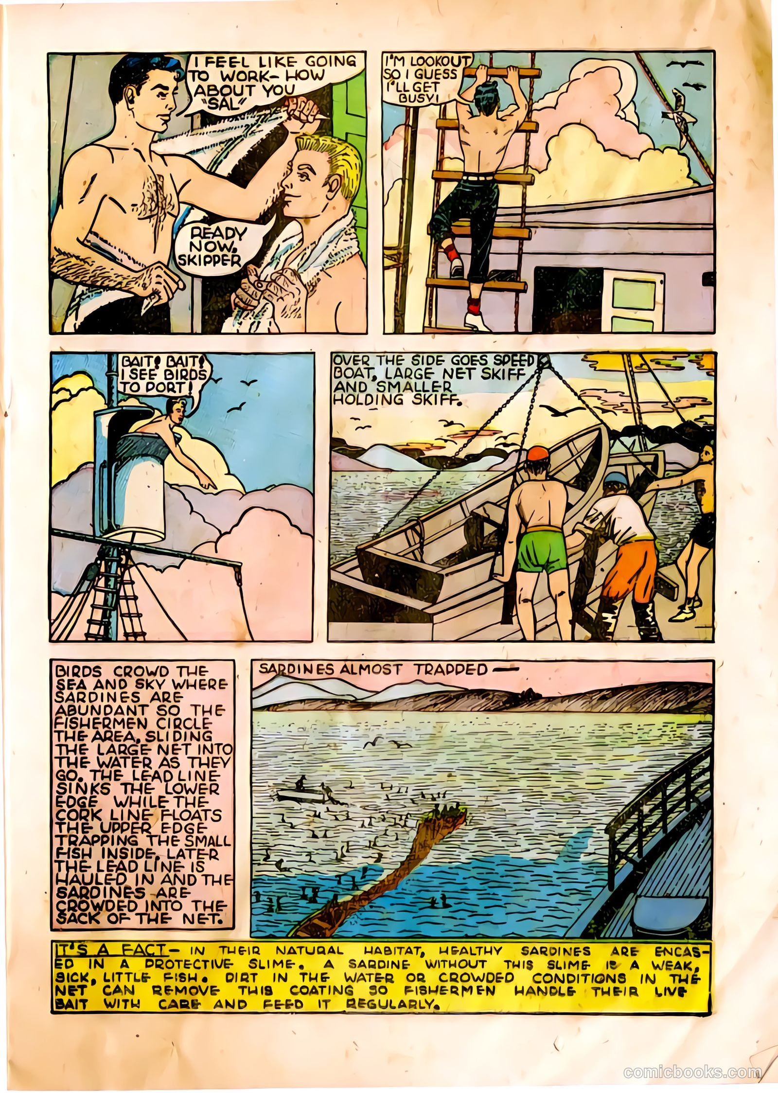 The Adventures of Manuel Pacifico Tuna Fisherman #1 — page 11 of 24