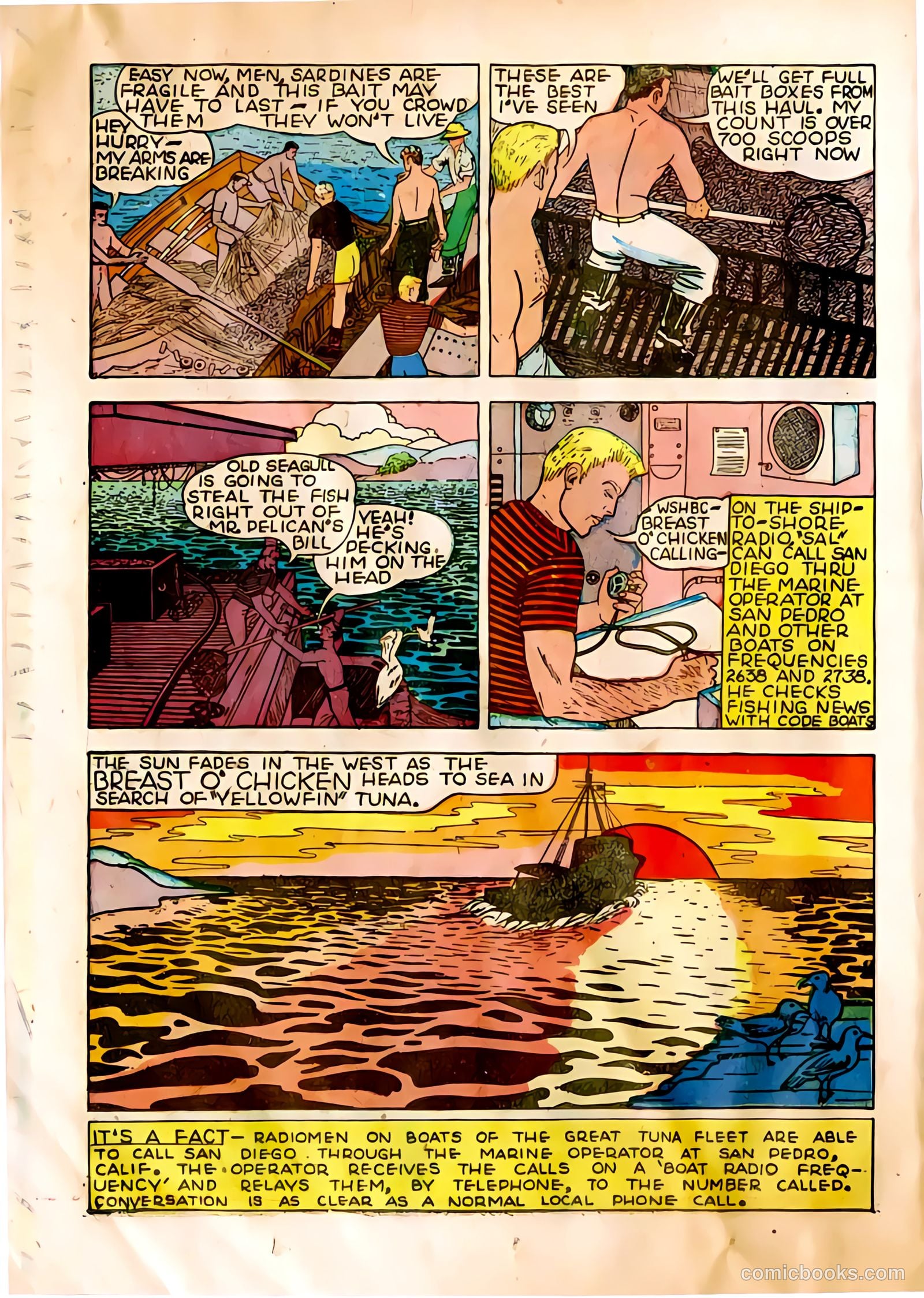 The Adventures of Manuel Pacifico Tuna Fisherman #1 — page 12 of 24