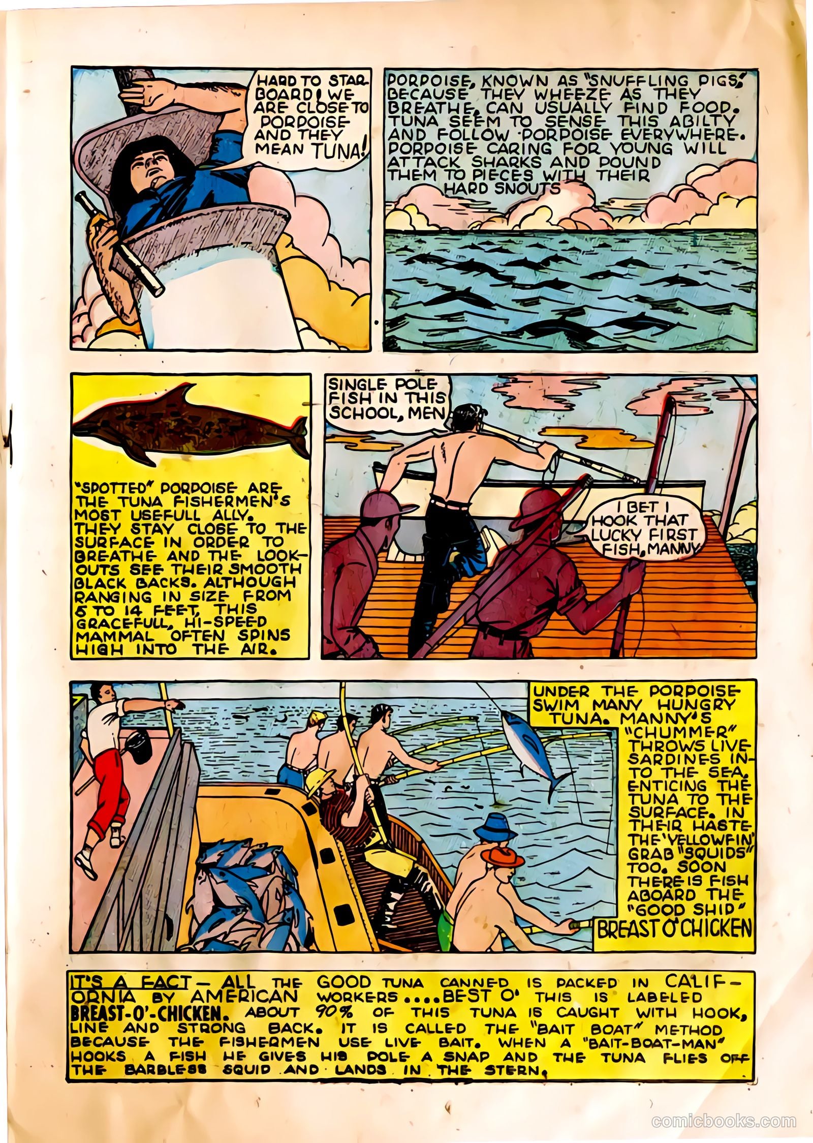 The Adventures of Manuel Pacifico Tuna Fisherman #1 — page 13 of 24