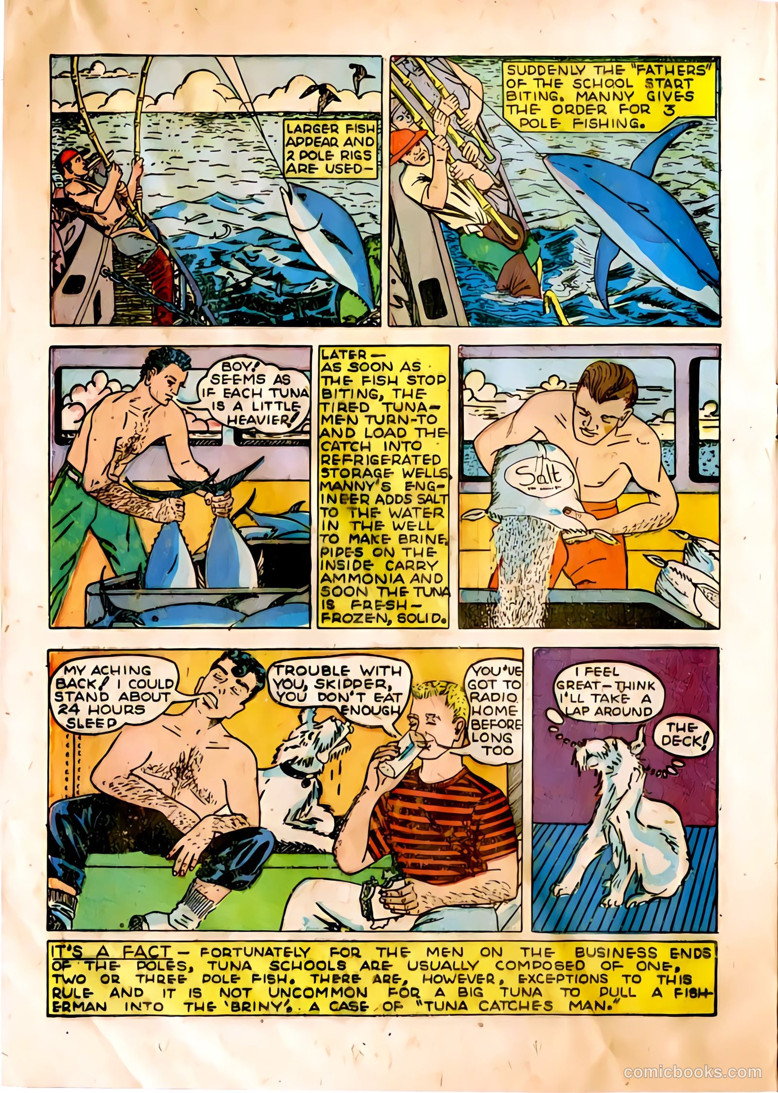 The Adventures of Manuel Pacifico Tuna Fisherman #1 — page 14 of 24