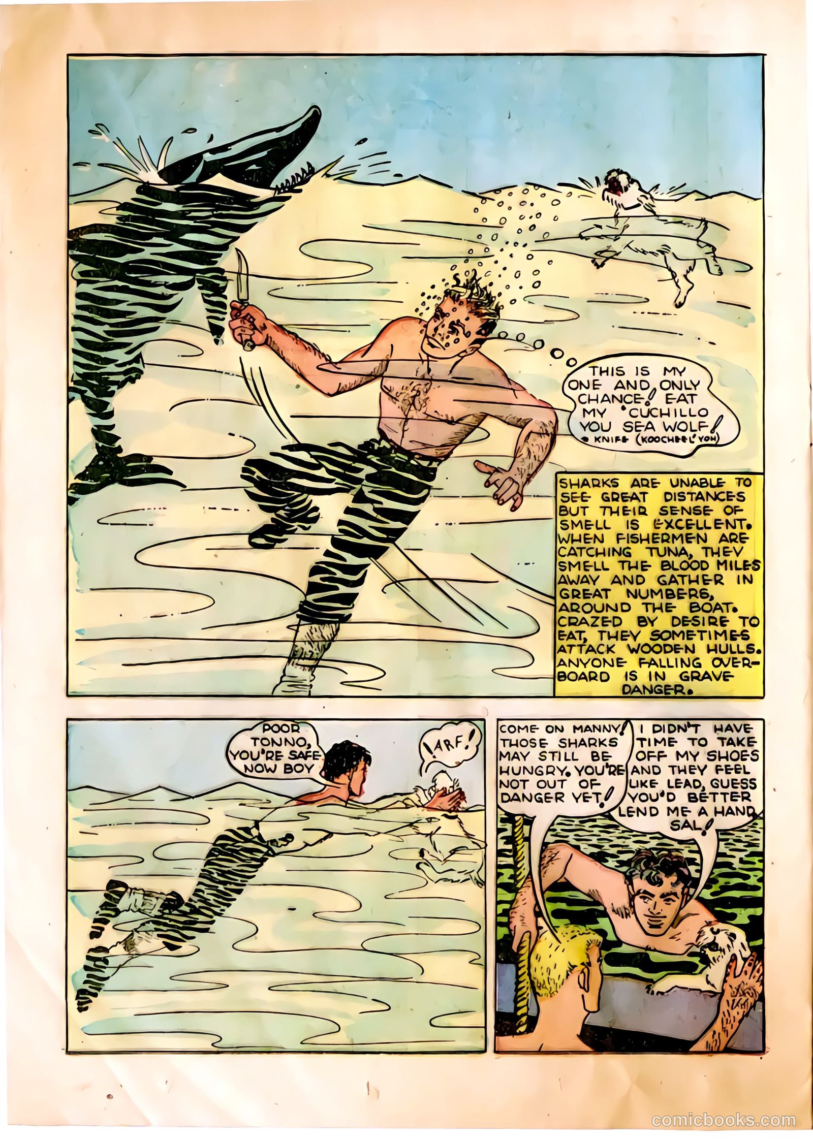 The Adventures of Manuel Pacifico Tuna Fisherman #1 — page 16 of 24