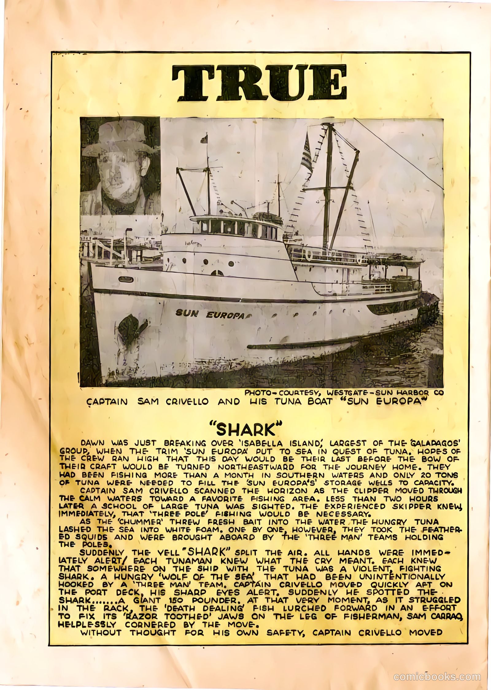 The Adventures of Manuel Pacifico Tuna Fisherman #1 — page 20 of 24