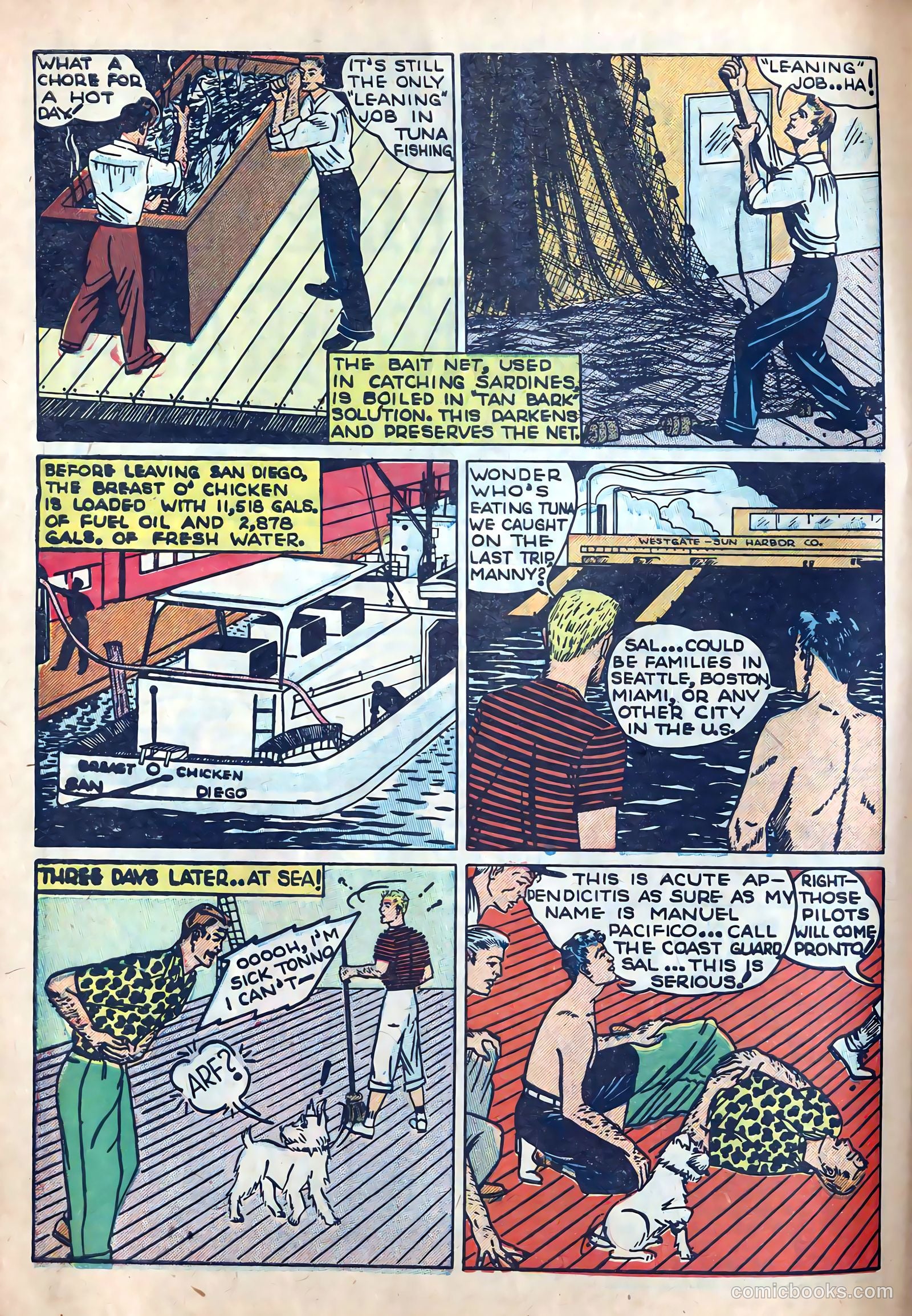 The Adventures of Manuel Pacifico Tuna Fisherman #2 — page 6 of 25