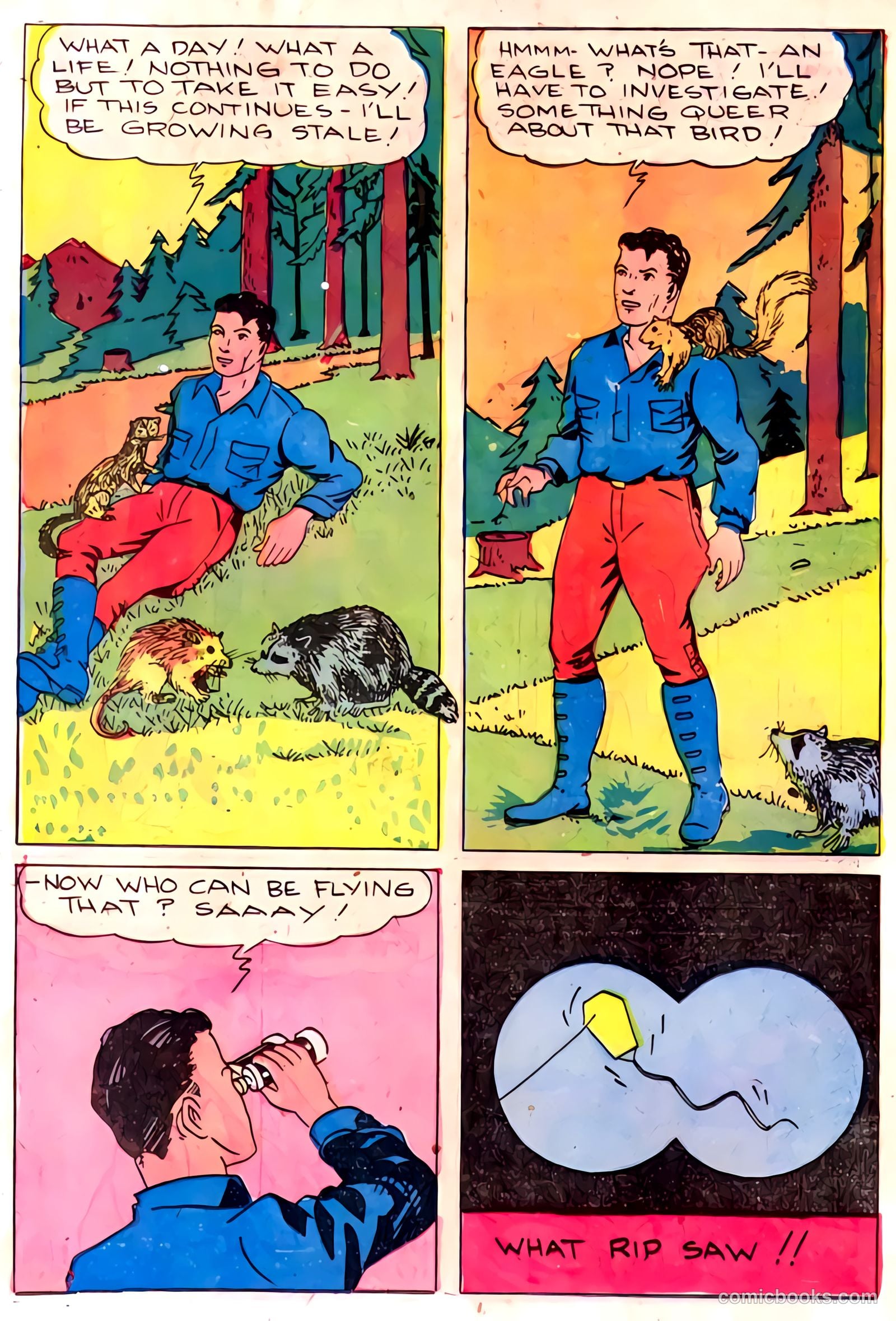 The Arrow #1 — page 29 of 68
